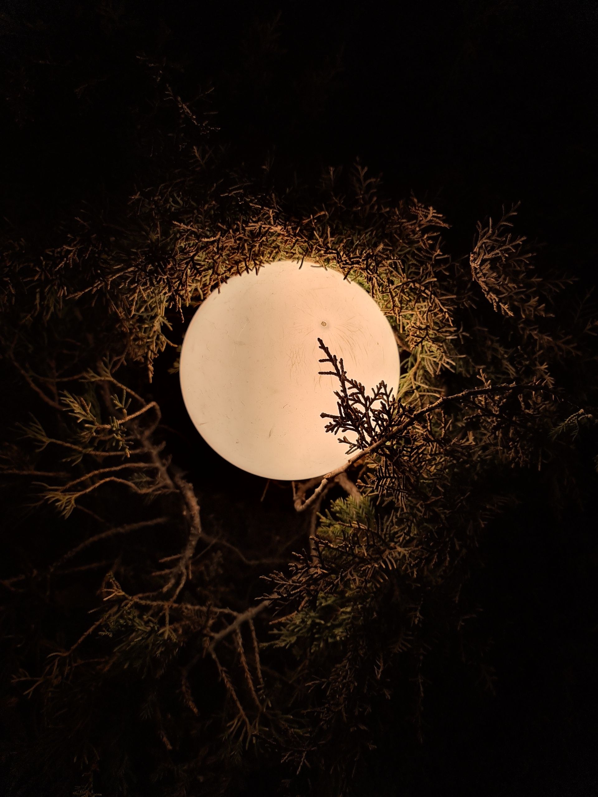 Galaxy S20 Ultra Sample Low Light