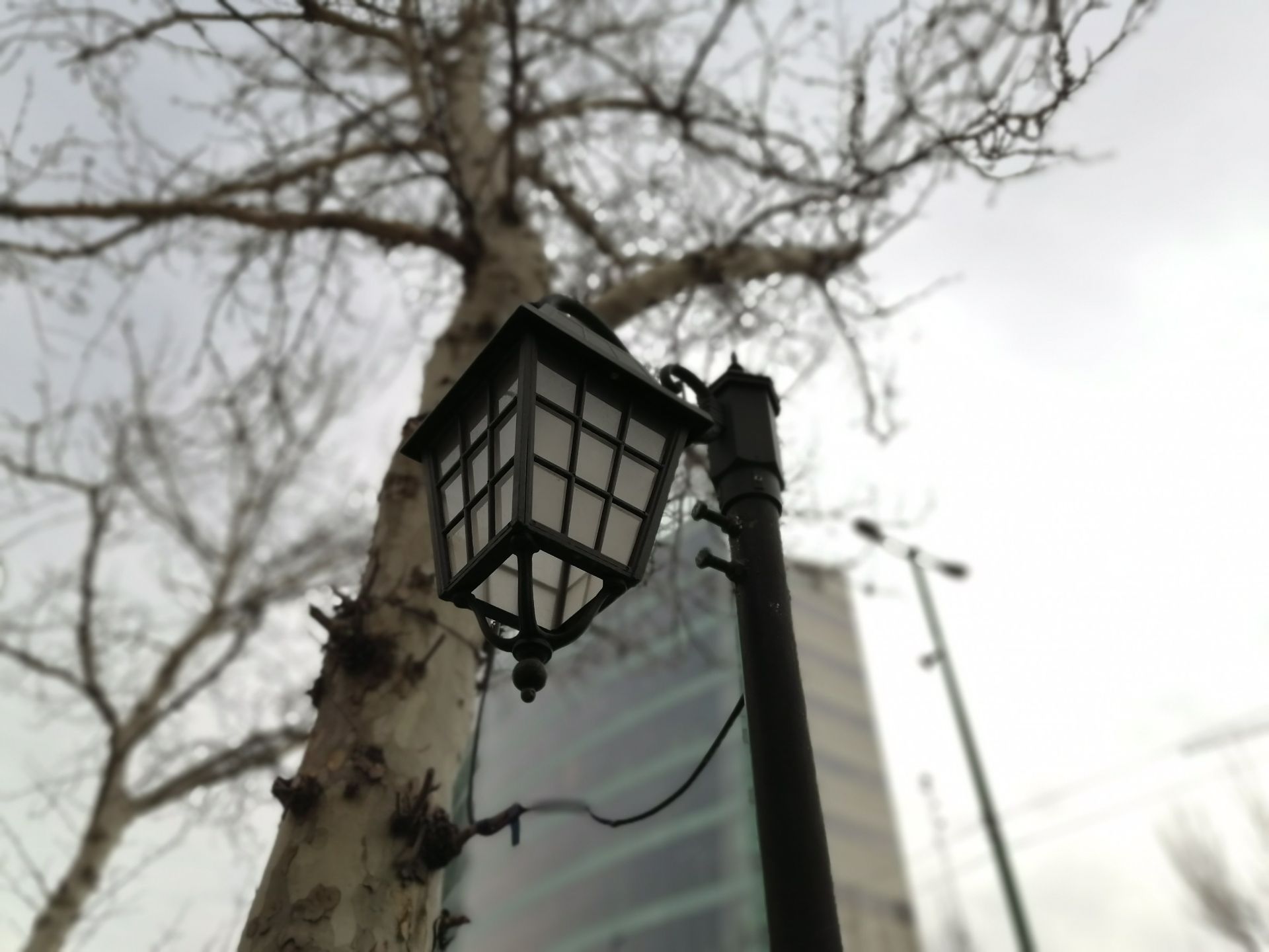 نمونه‌عکس Y9s در طول روز