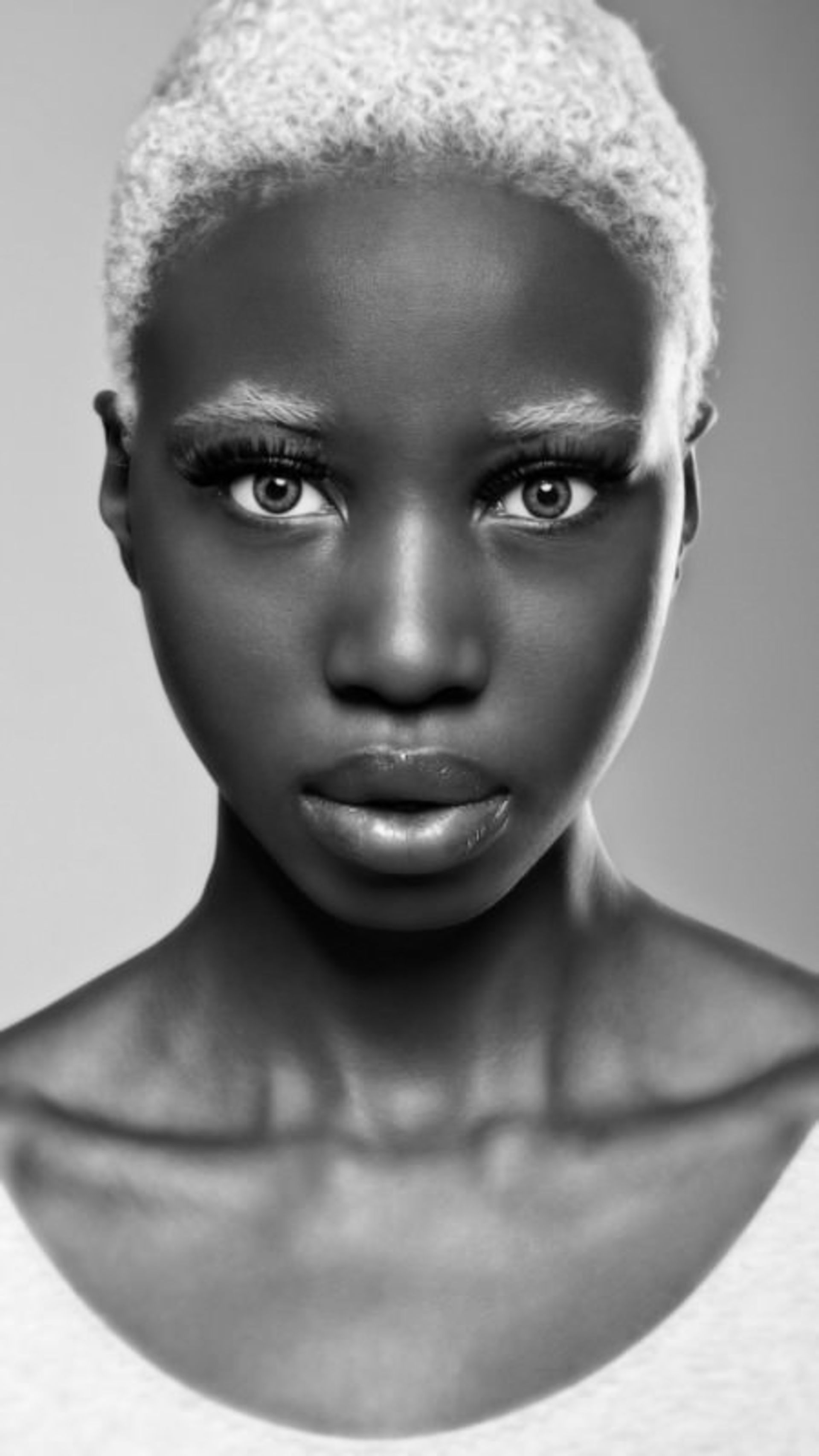 سبک شناسی عکاسی