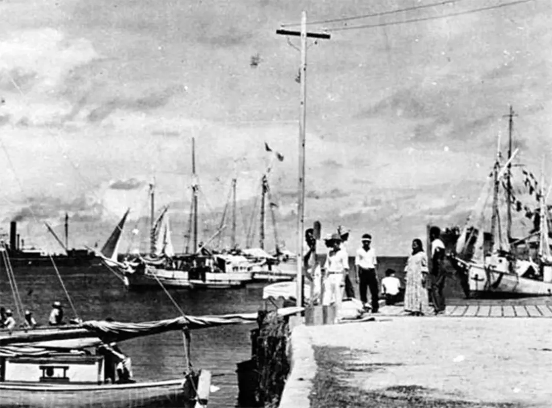 آملیا ارهارت / Amelia Earhart