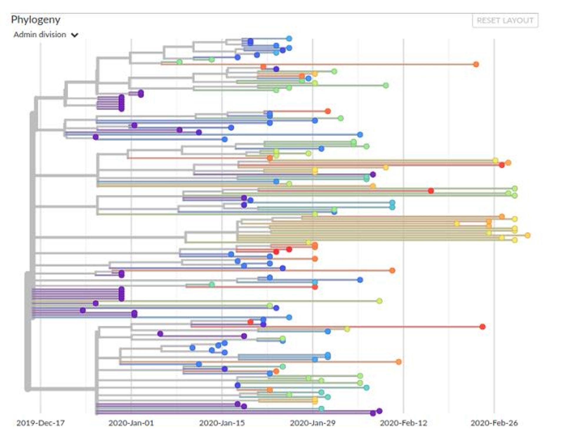 فیلوژنی ویروس کرونا
