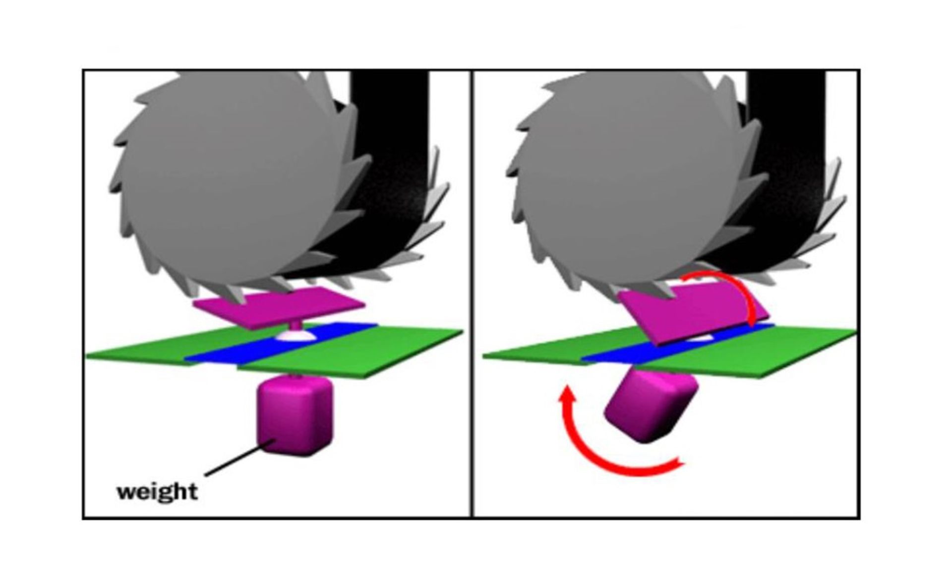 کمربند ایمینی