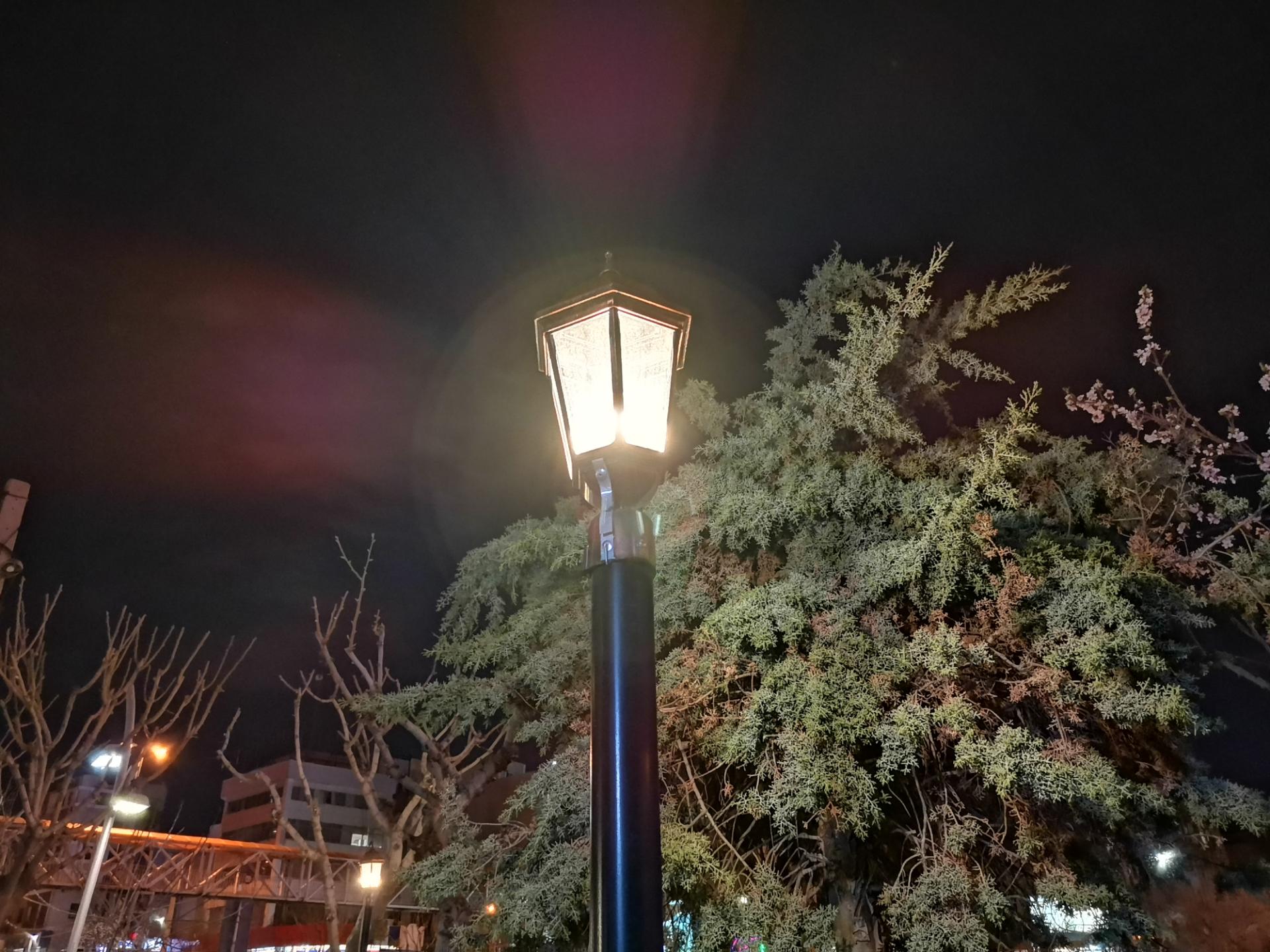 Honor 9X Pro Lowlight Photos