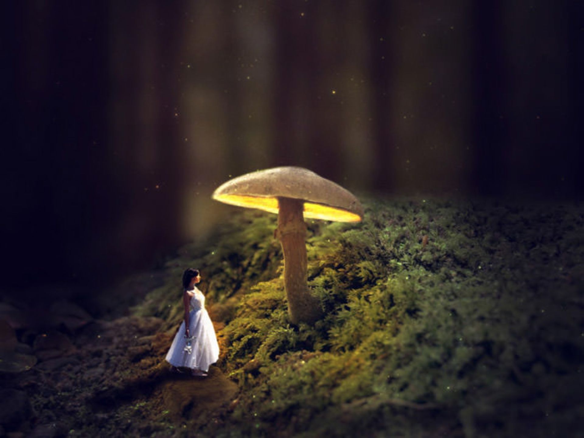 سبک شناسی عکاسی