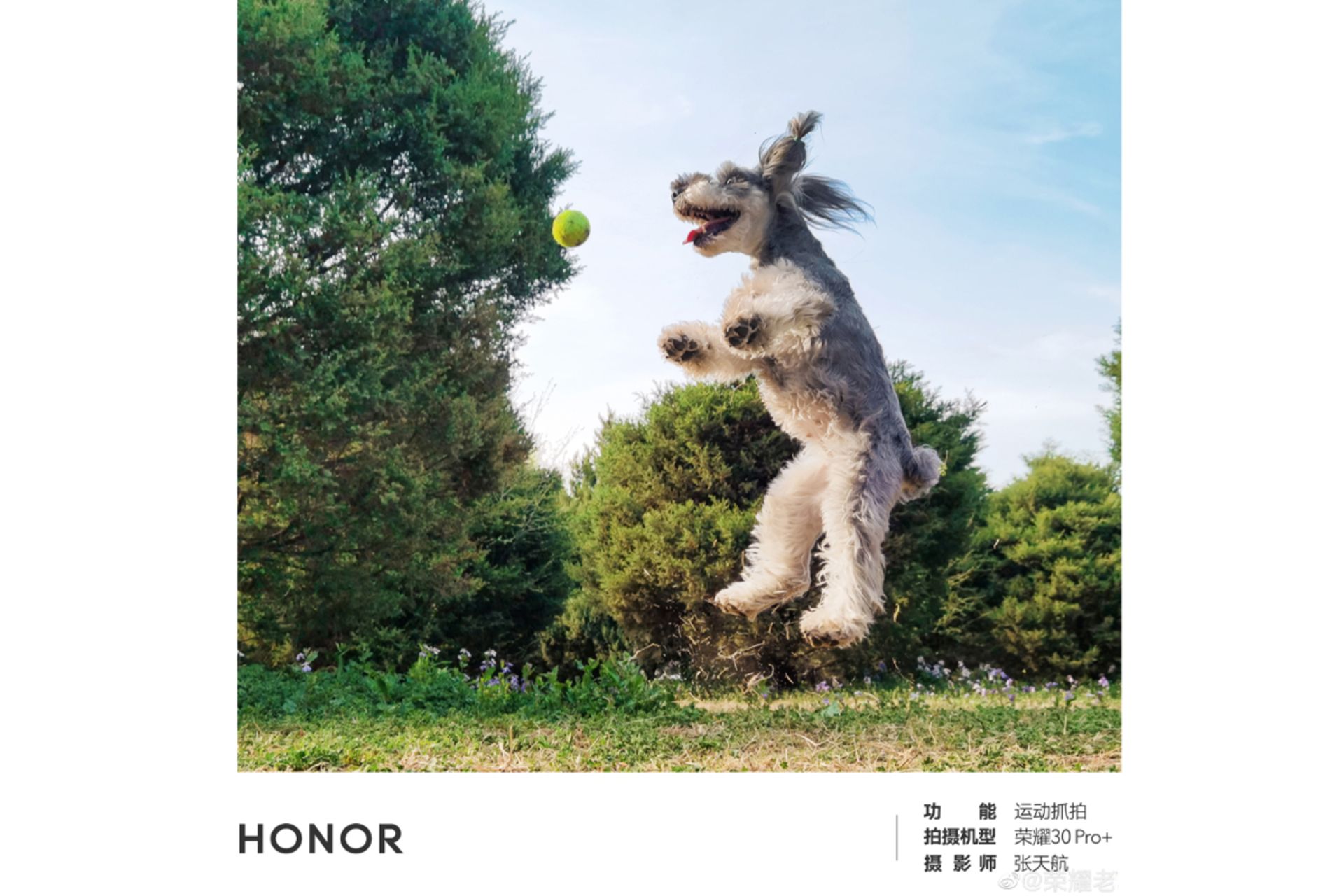 نمونه عکس آنر 30