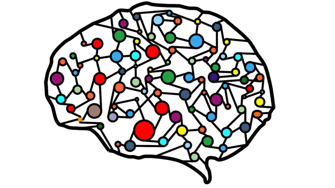 building computer chips using human neurons/ساخت چیپ کامپیوتری با نورون های انسانی