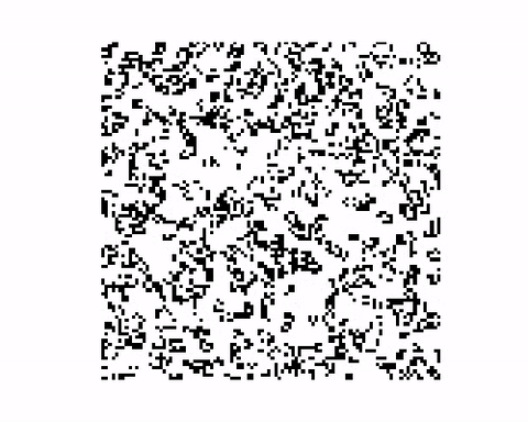 بازی زندگی کانوی