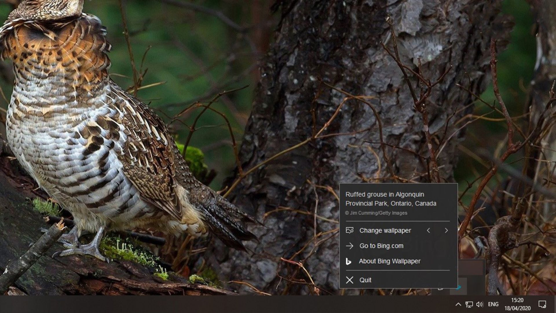 بینگ والپیپر / Bing Wallpaper