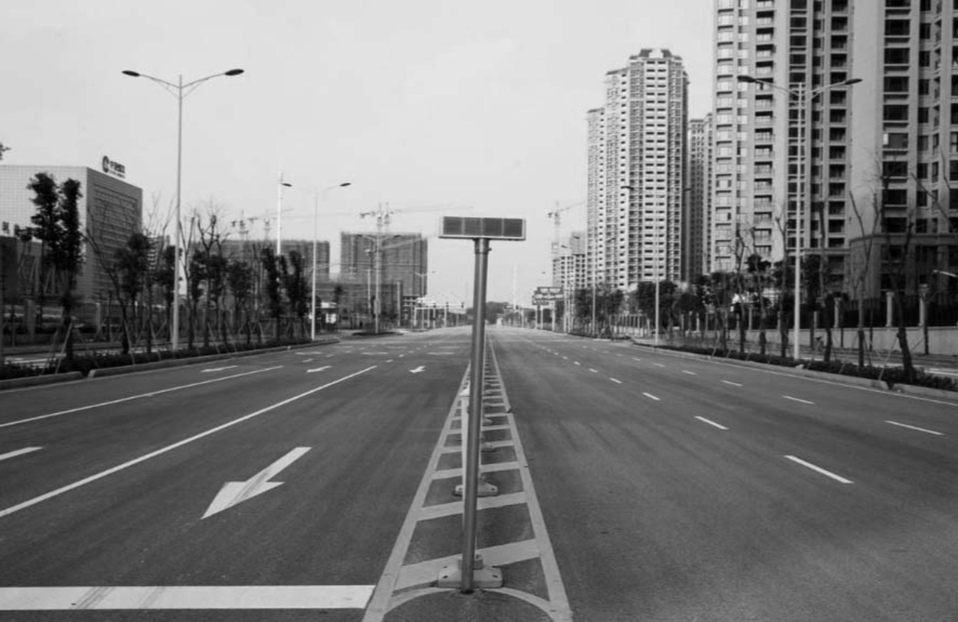 ویروس کرونا