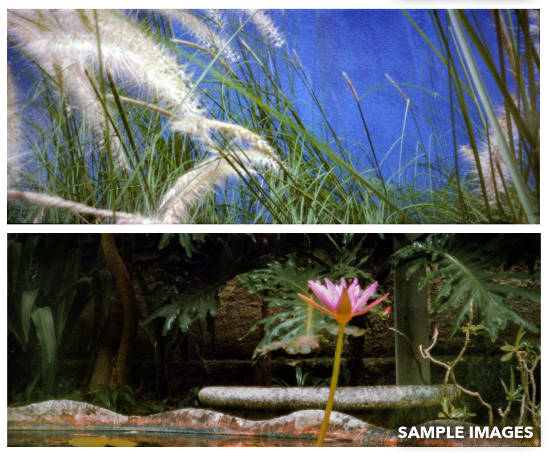 دوربین سوراخ سوزنی SCURA