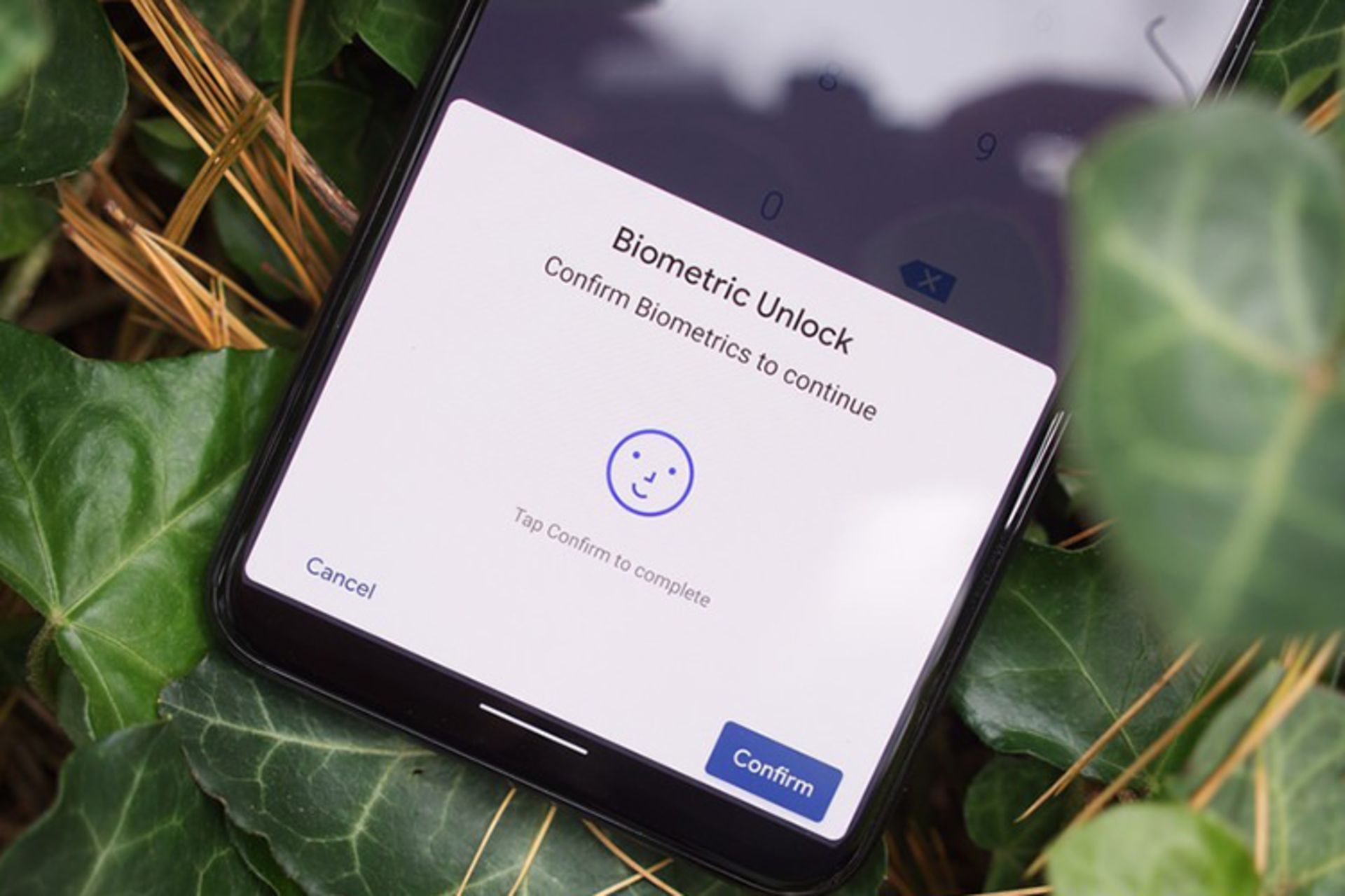 بیومتریک / biometric