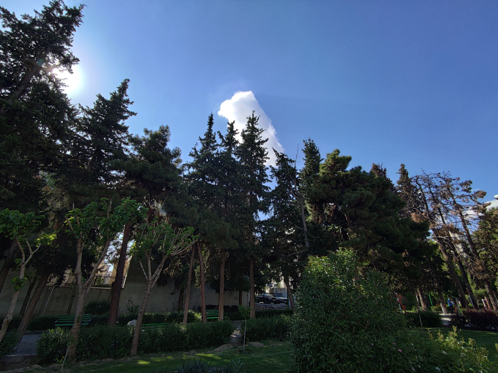 Mi Note 10 Ultrawide Camera Samples