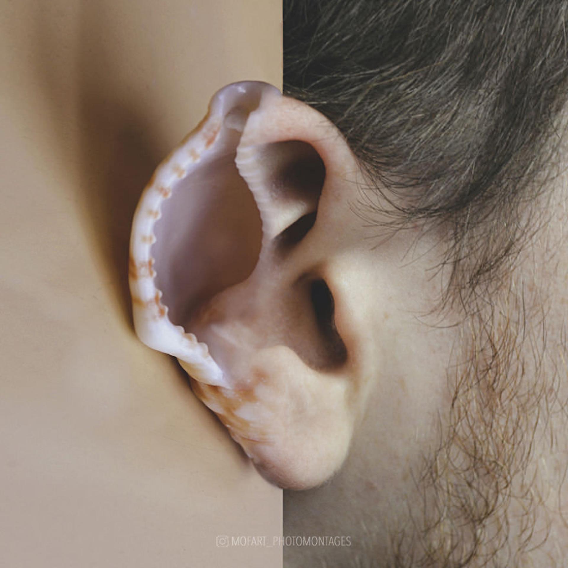 گالری تصاویری سورئال 