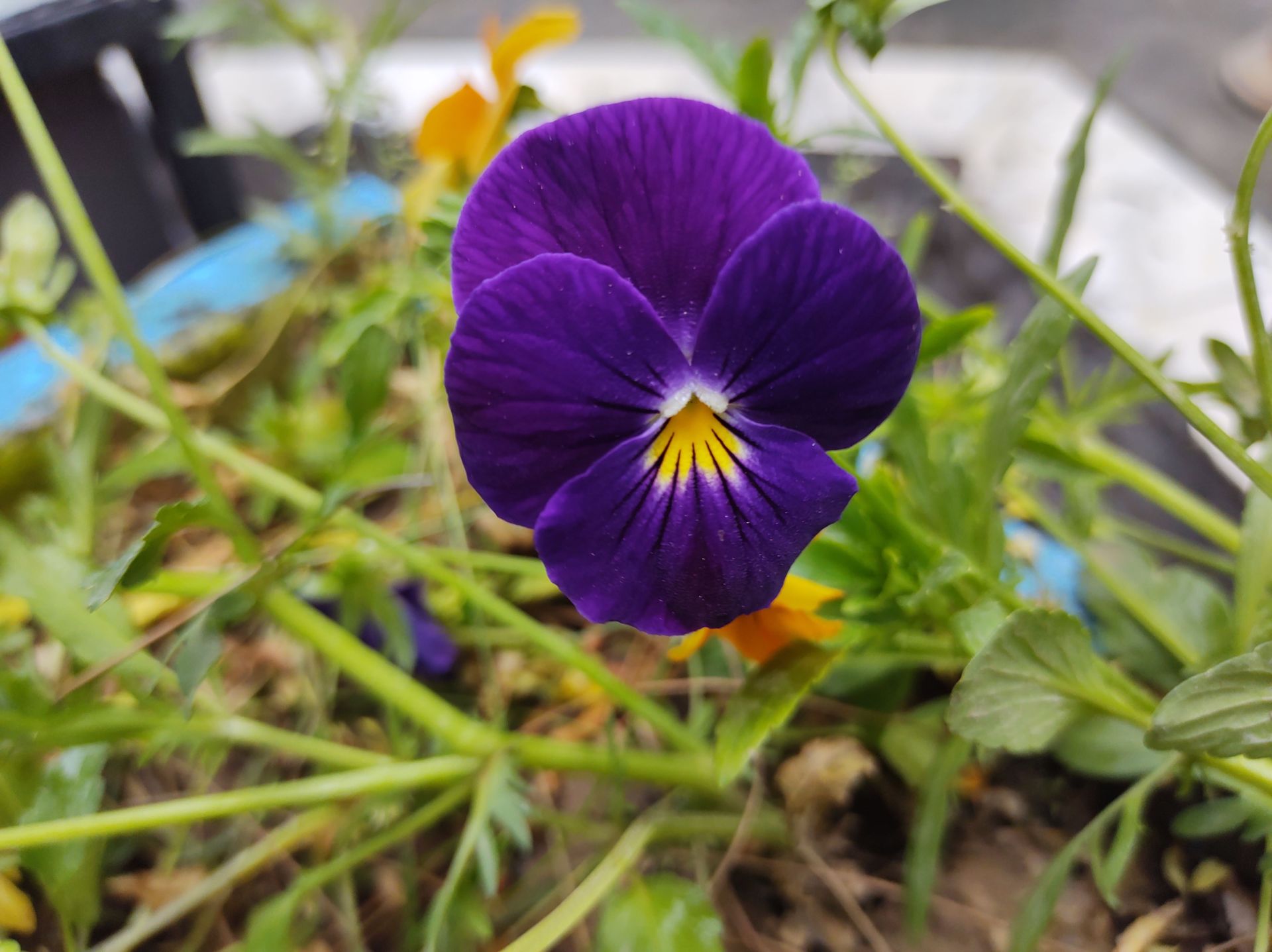 نمونه عکس وان هایپر