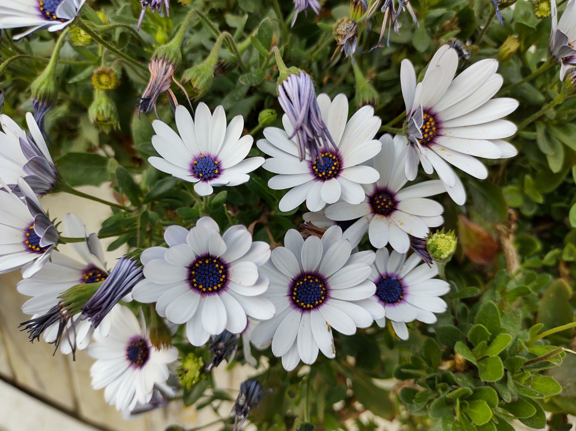 نمونه عکس وان هایپر