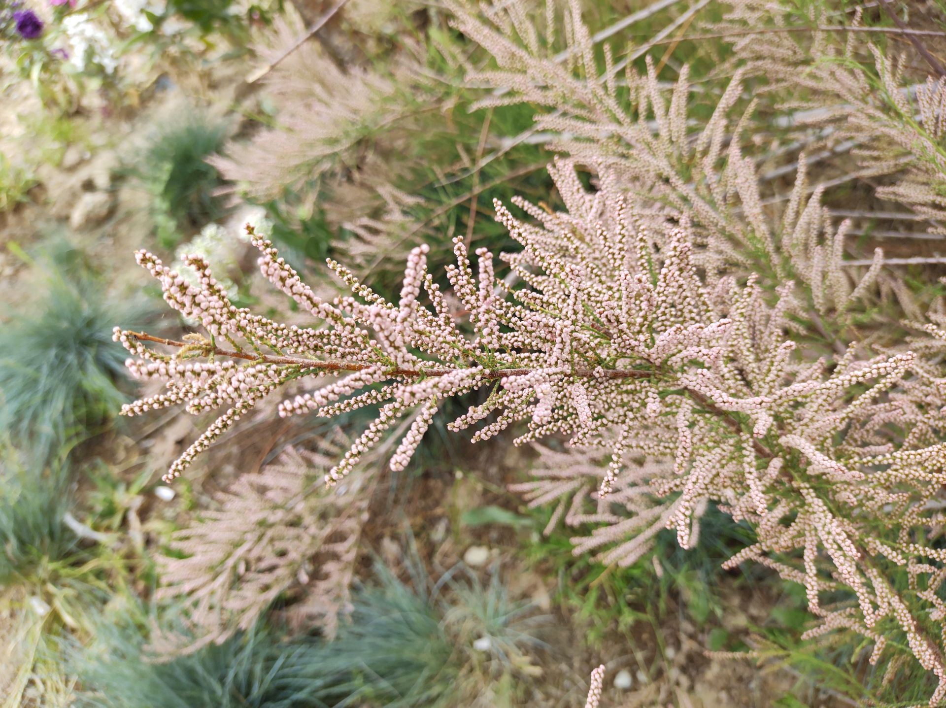 نمونه عکس وان هایپر