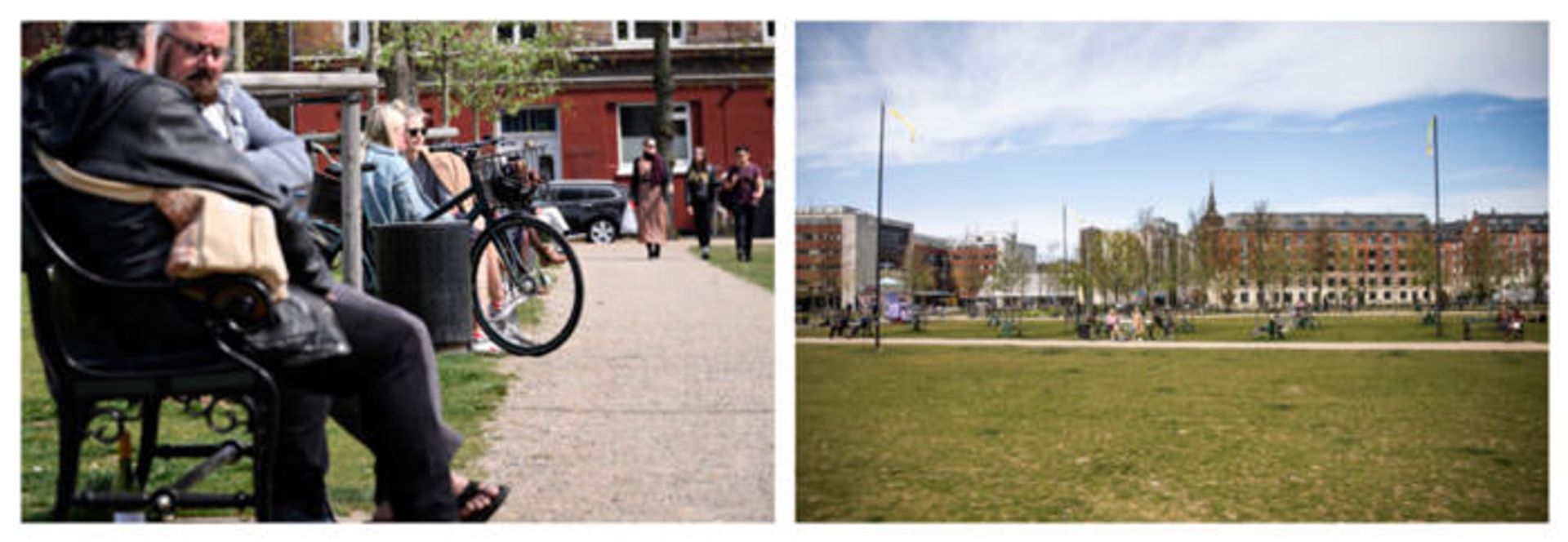 تصاویر جعلی