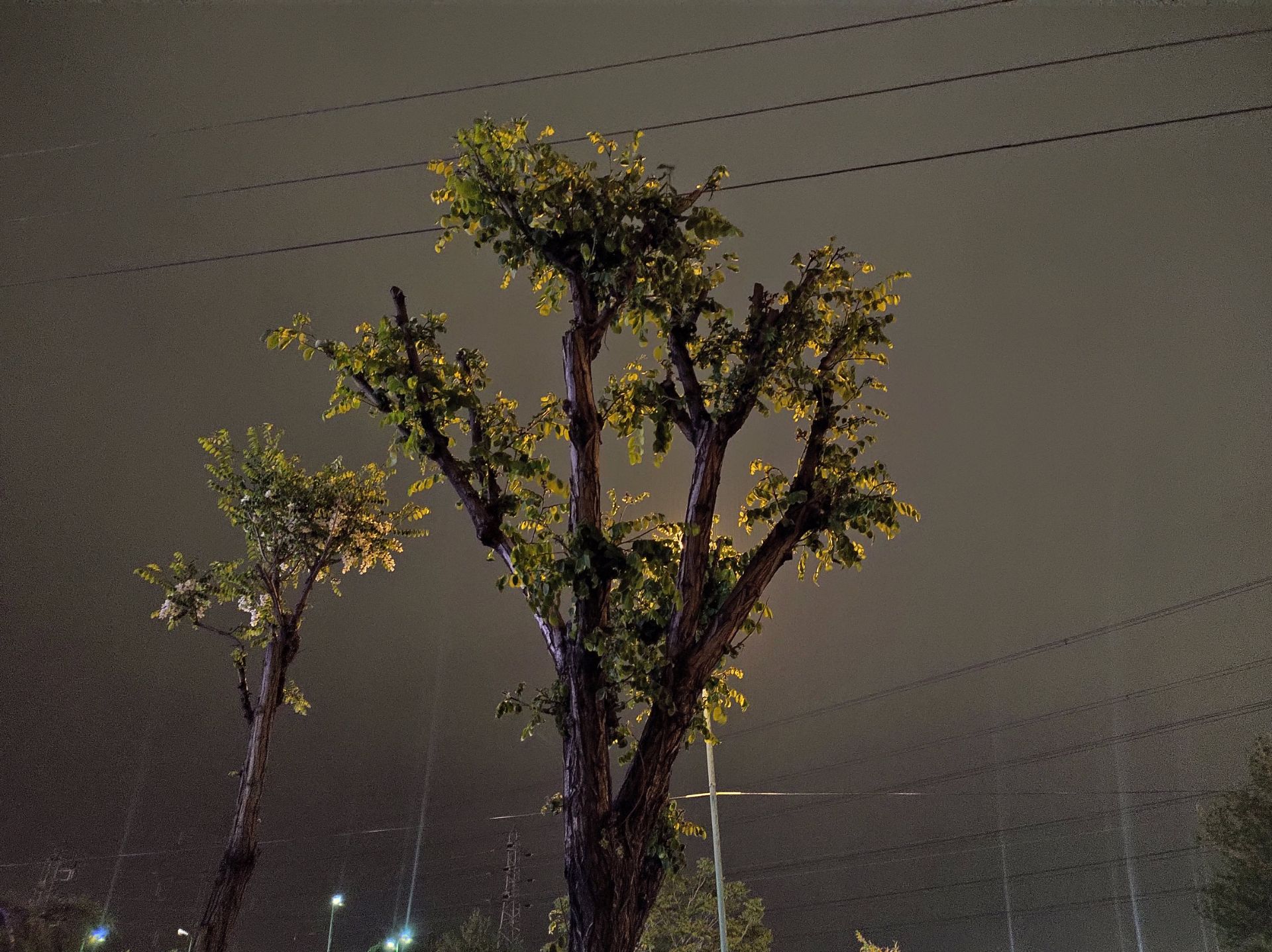 نمونه عکس وان هایپر