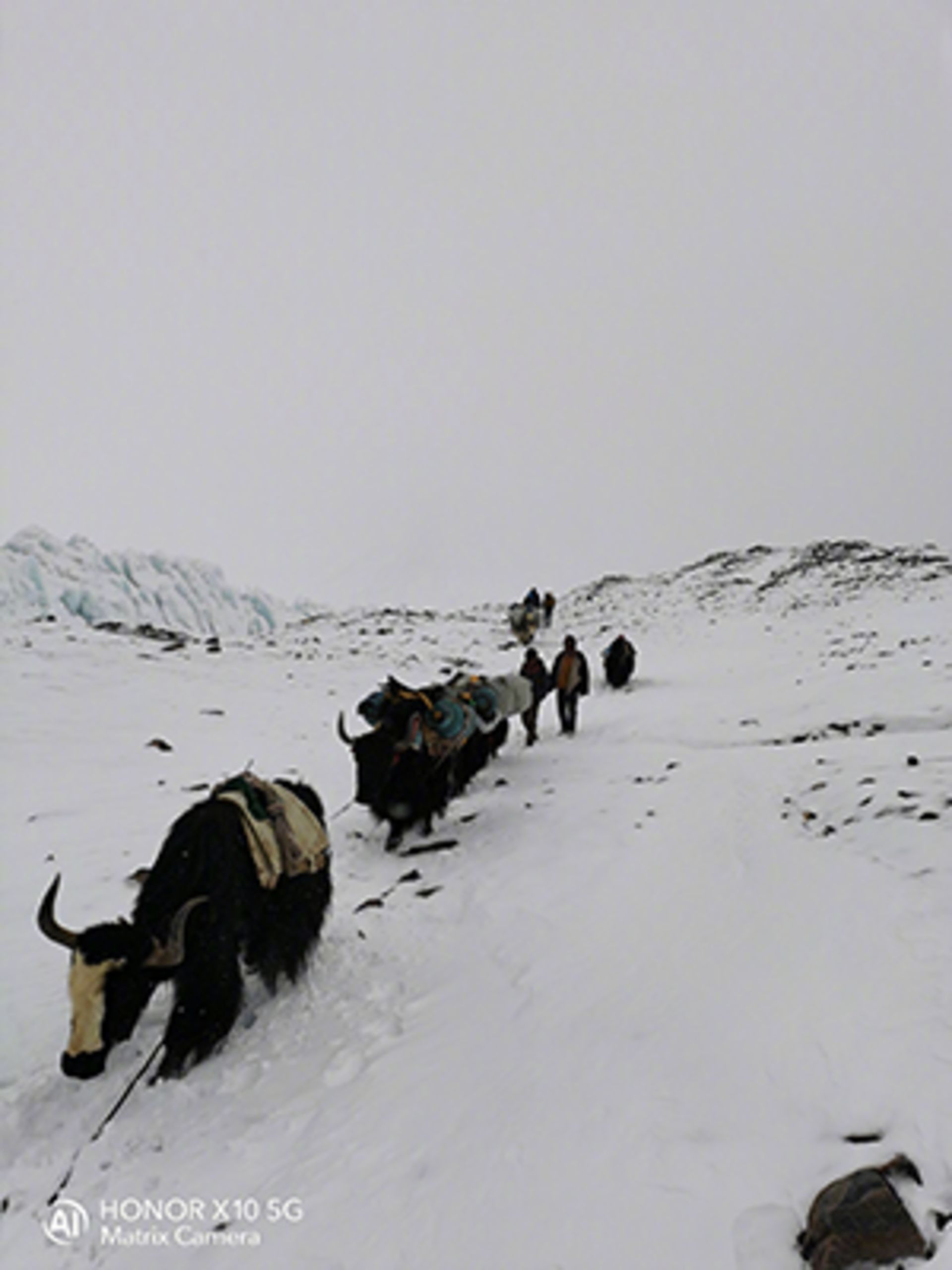 نمونه عکس آنر X10 5G هواوی