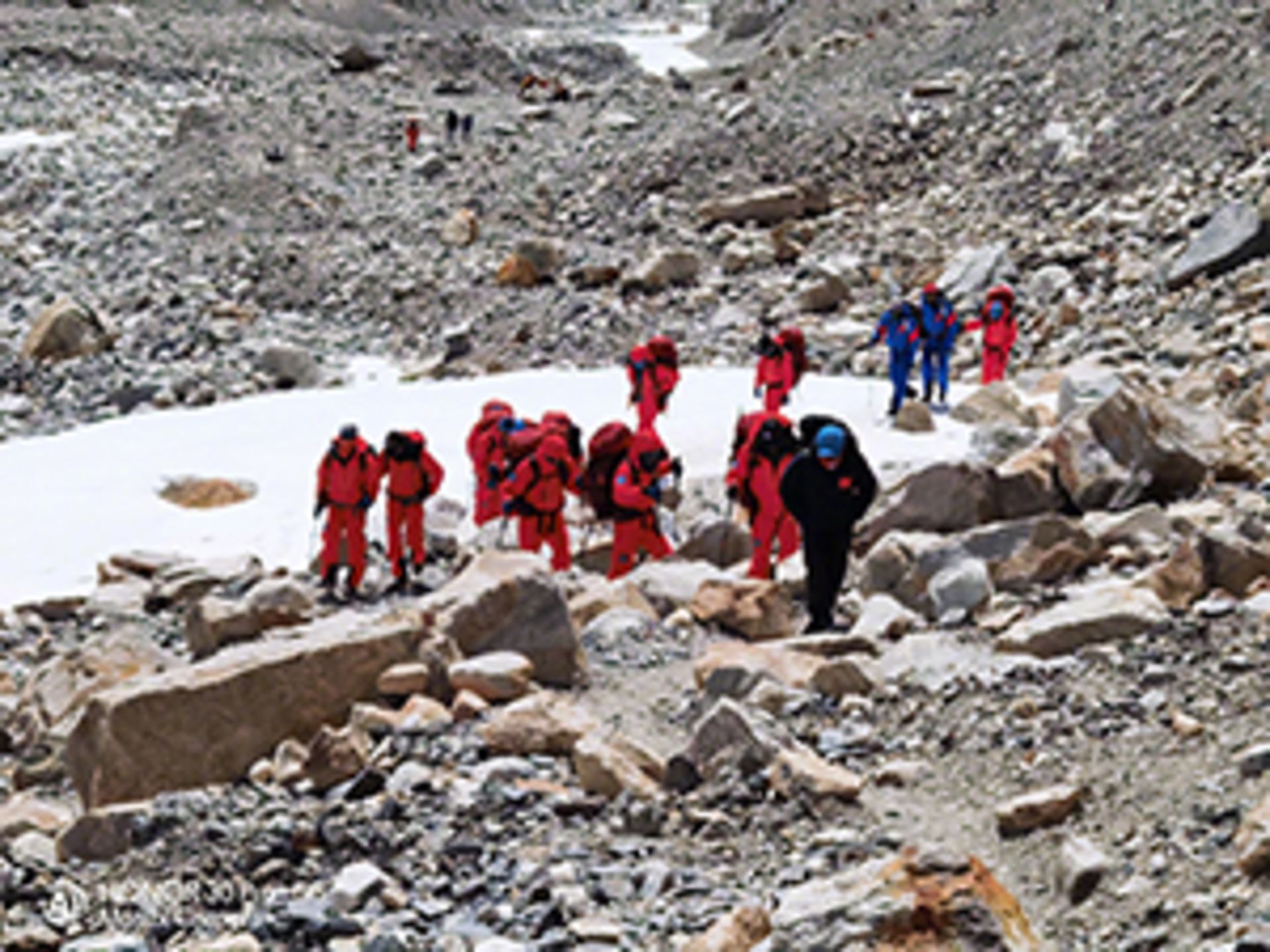 نمونه عکس دوربین آنر 30 پرو پلاس هواوی