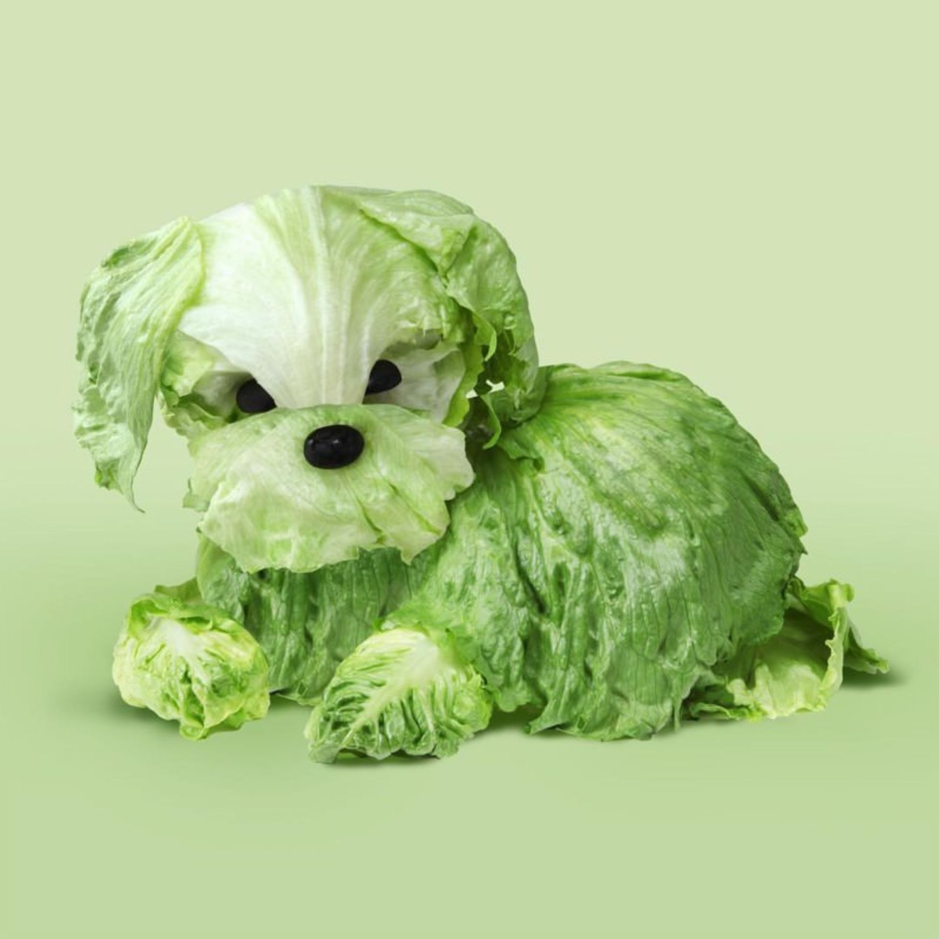 تصاویر حیوانات با استفاده از سبزیجات و مواد خوراکی