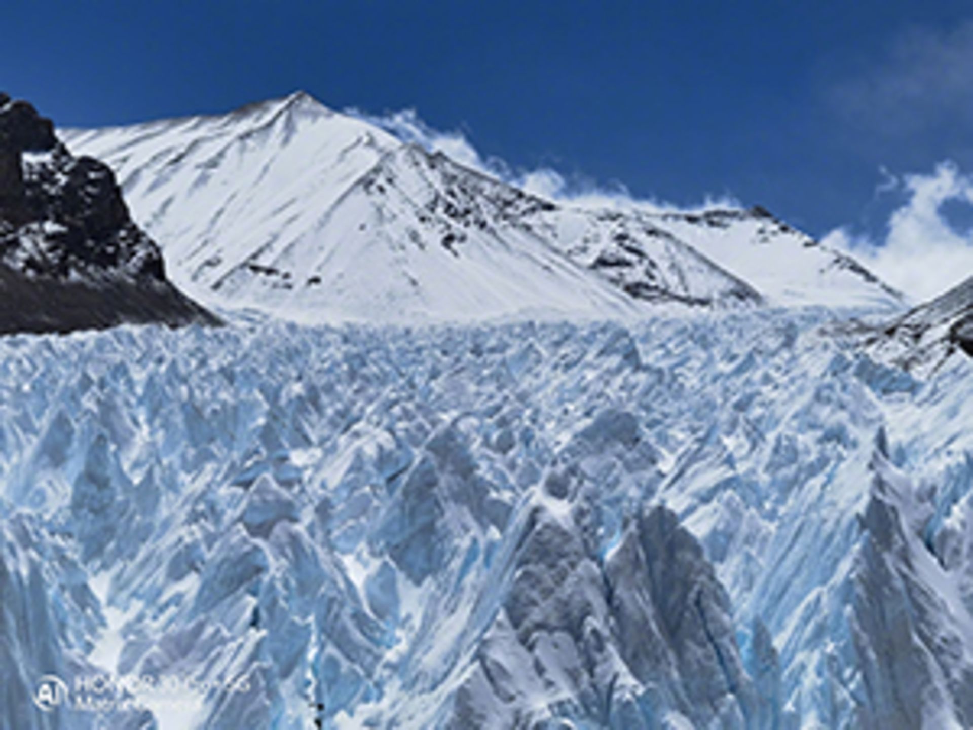 نمونه عکس دوربین آنر 30 پرو پلاس هواوی