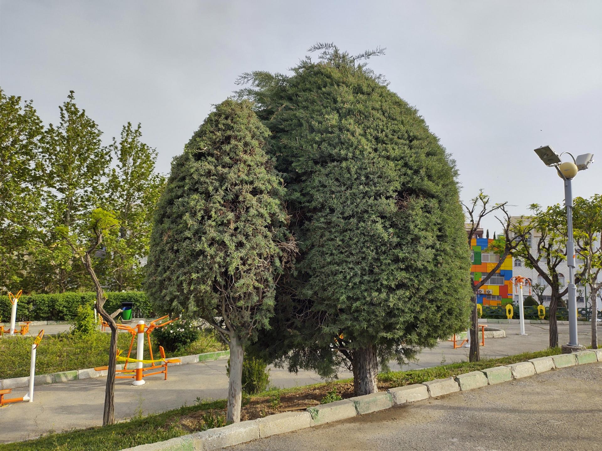 نمونه عکس وان هایپر