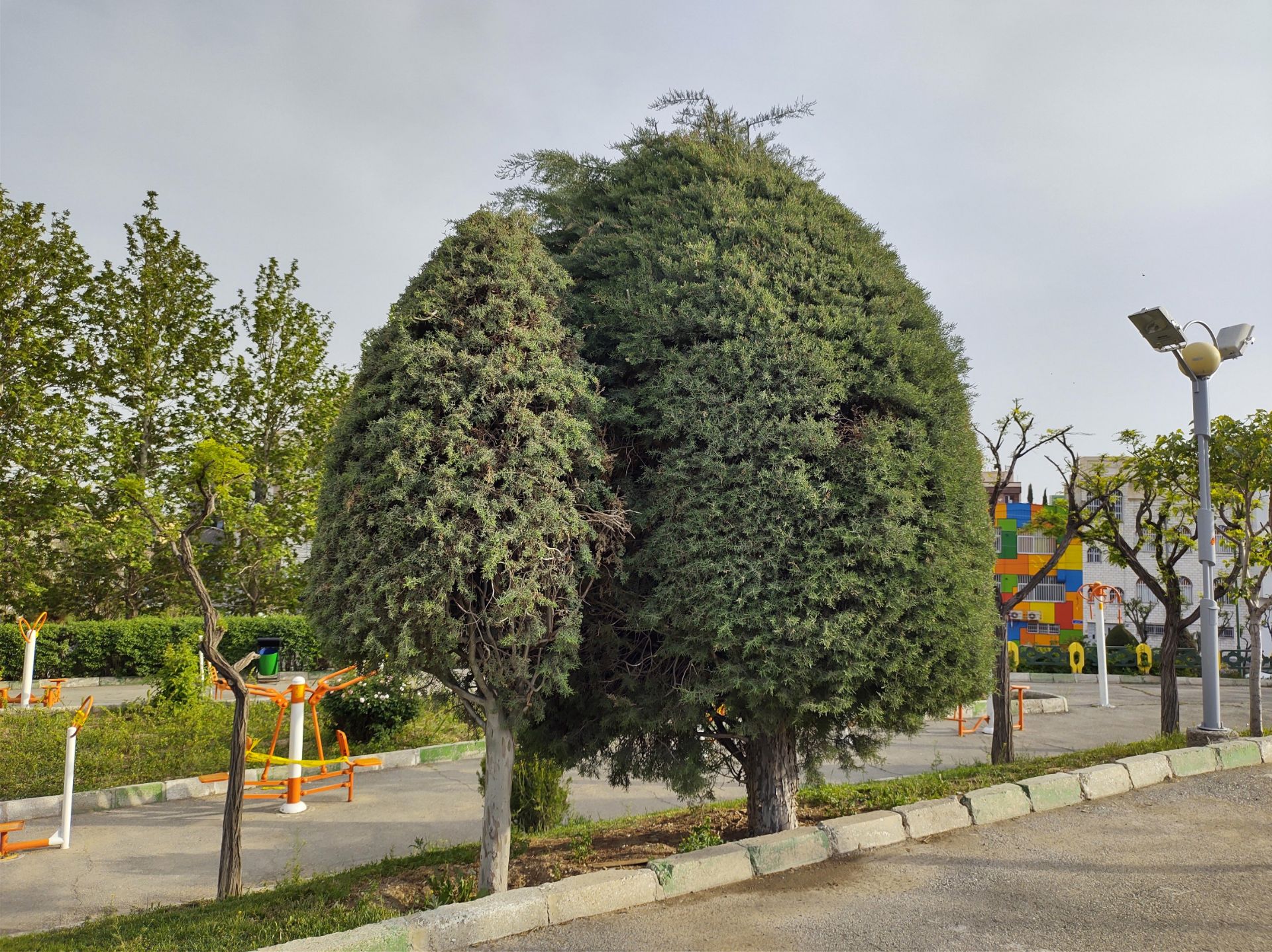 نمونه عکس وان هایپر