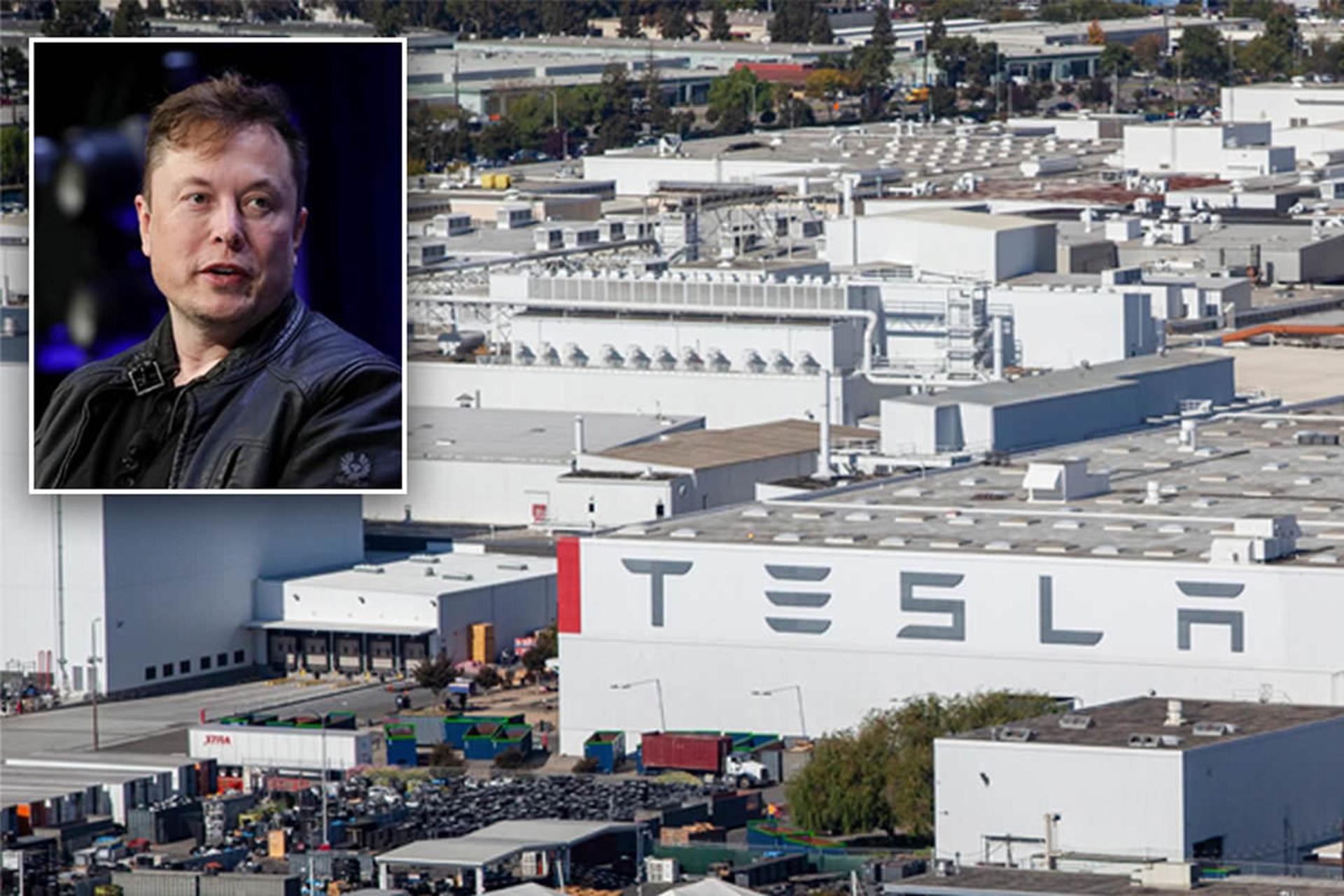 tesla / تسلا