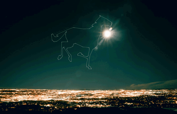 اسب درحال حرکت