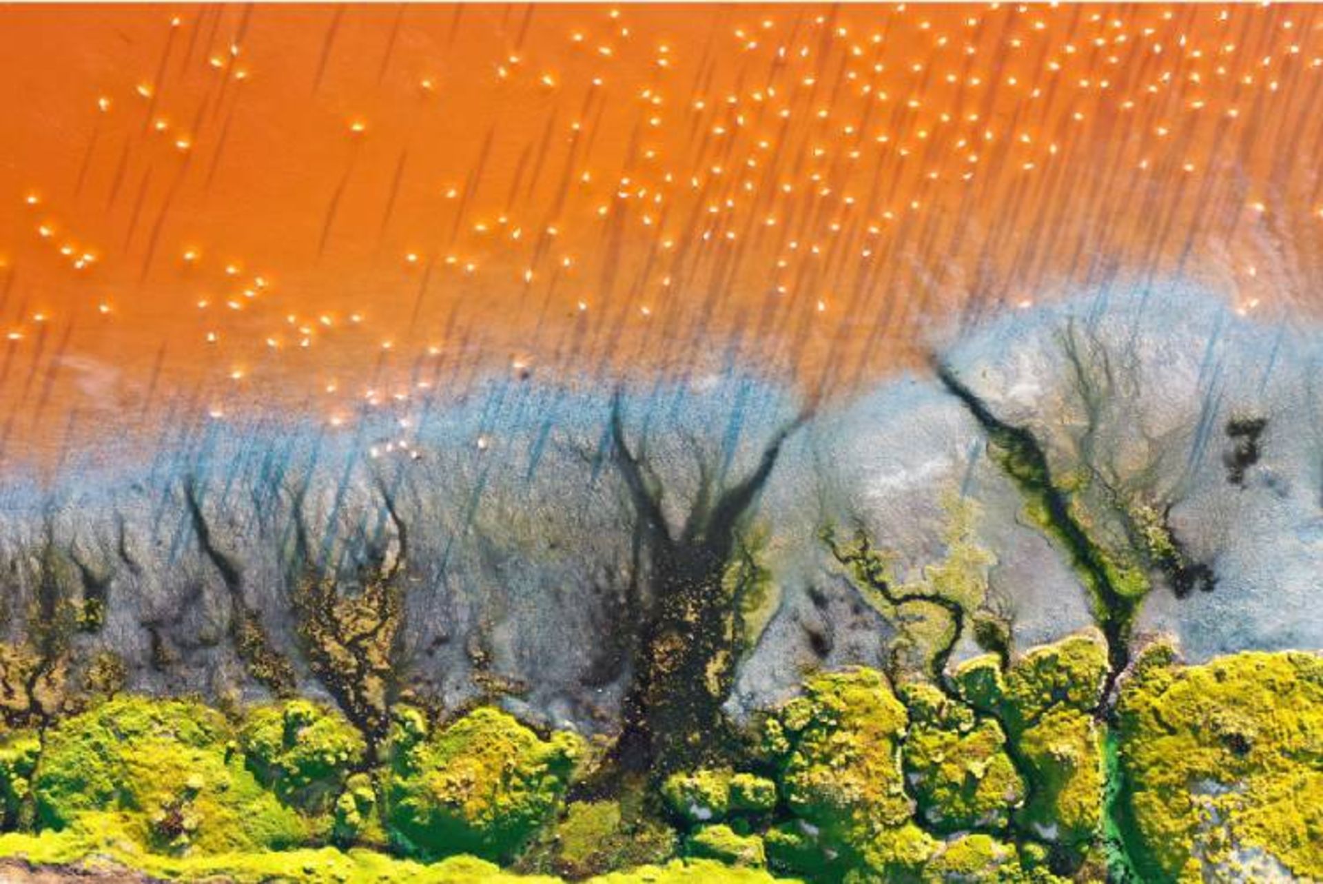 مرجع متخصصين ايران عكس فيناليست مسابقه bigpicture بخش «هنر طبيعت»: «درياچه رنگ‌ها»؛ عكاس: جس استاكهاوس
