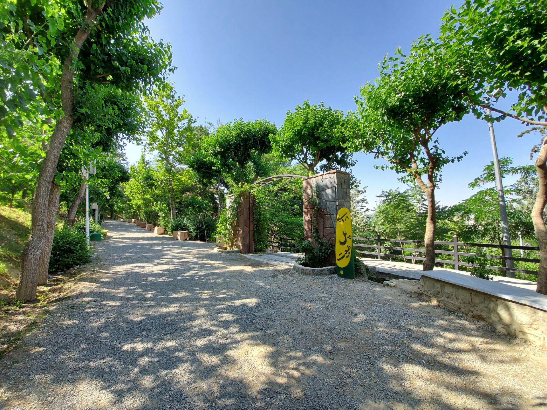 نمونه عکس گلکسی A71 از پل طبیعت