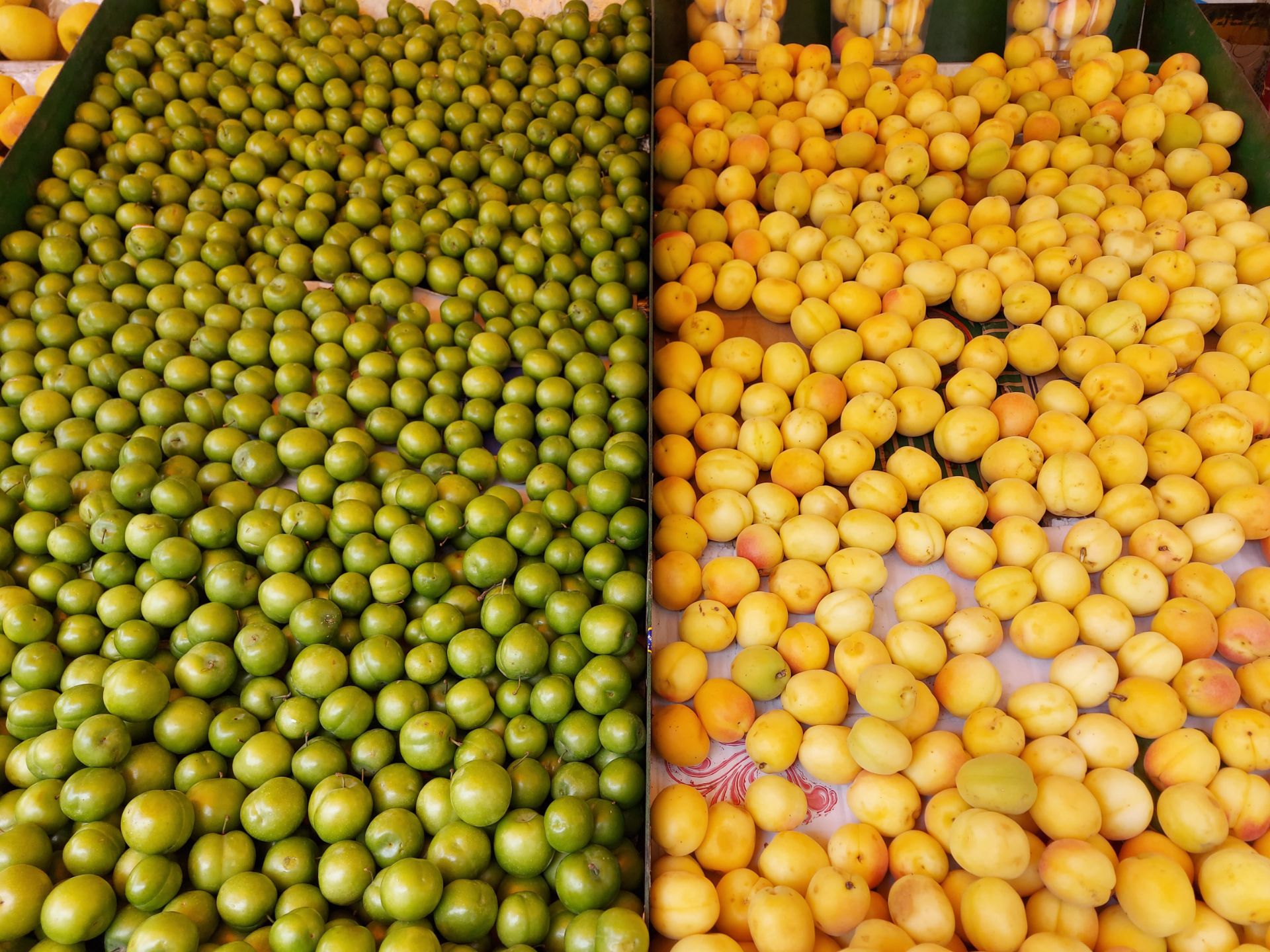 نمونه عکس گلکسی A71 از زردآلو و گوجه سبز