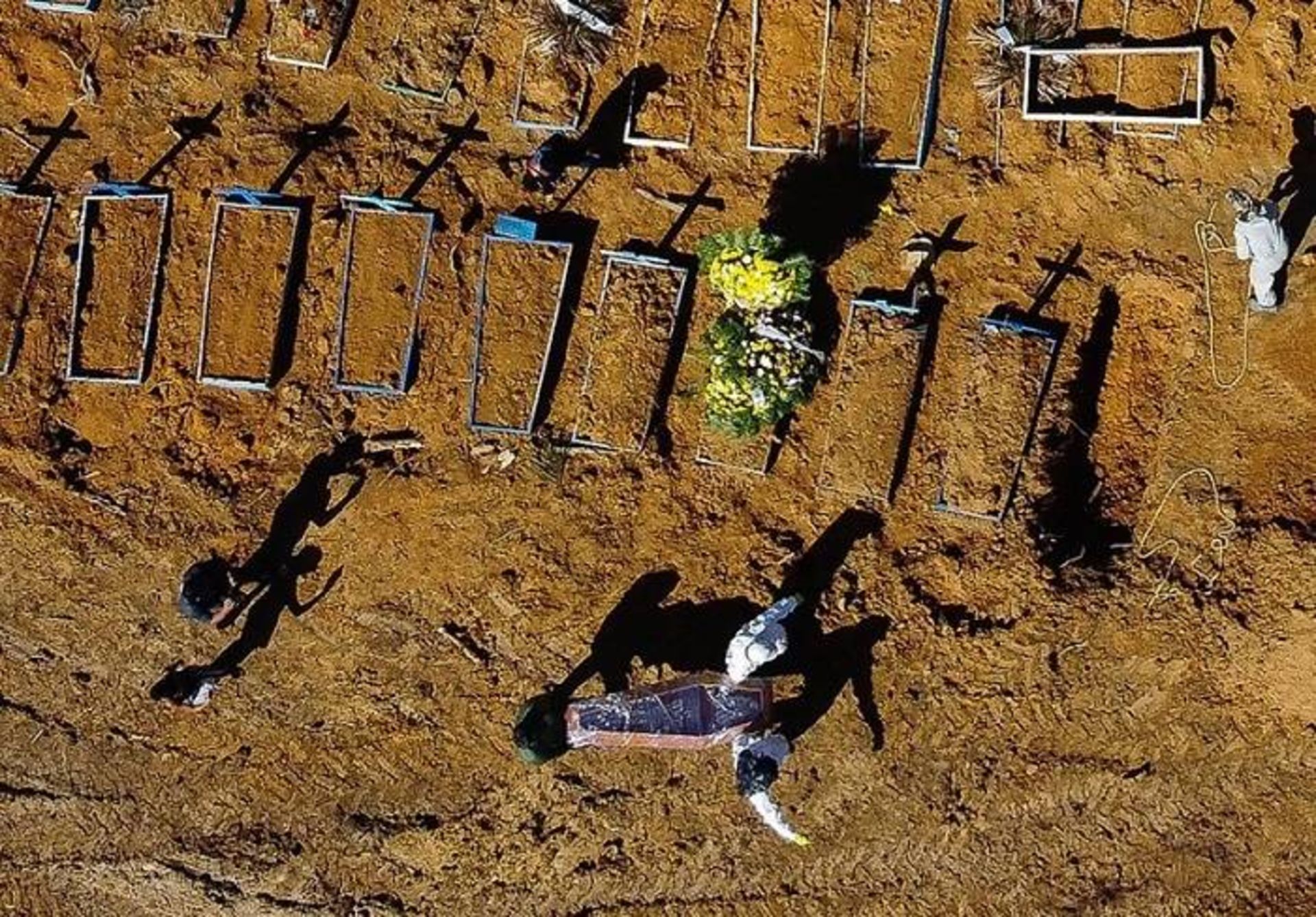 مرگ بر اثر کرونا