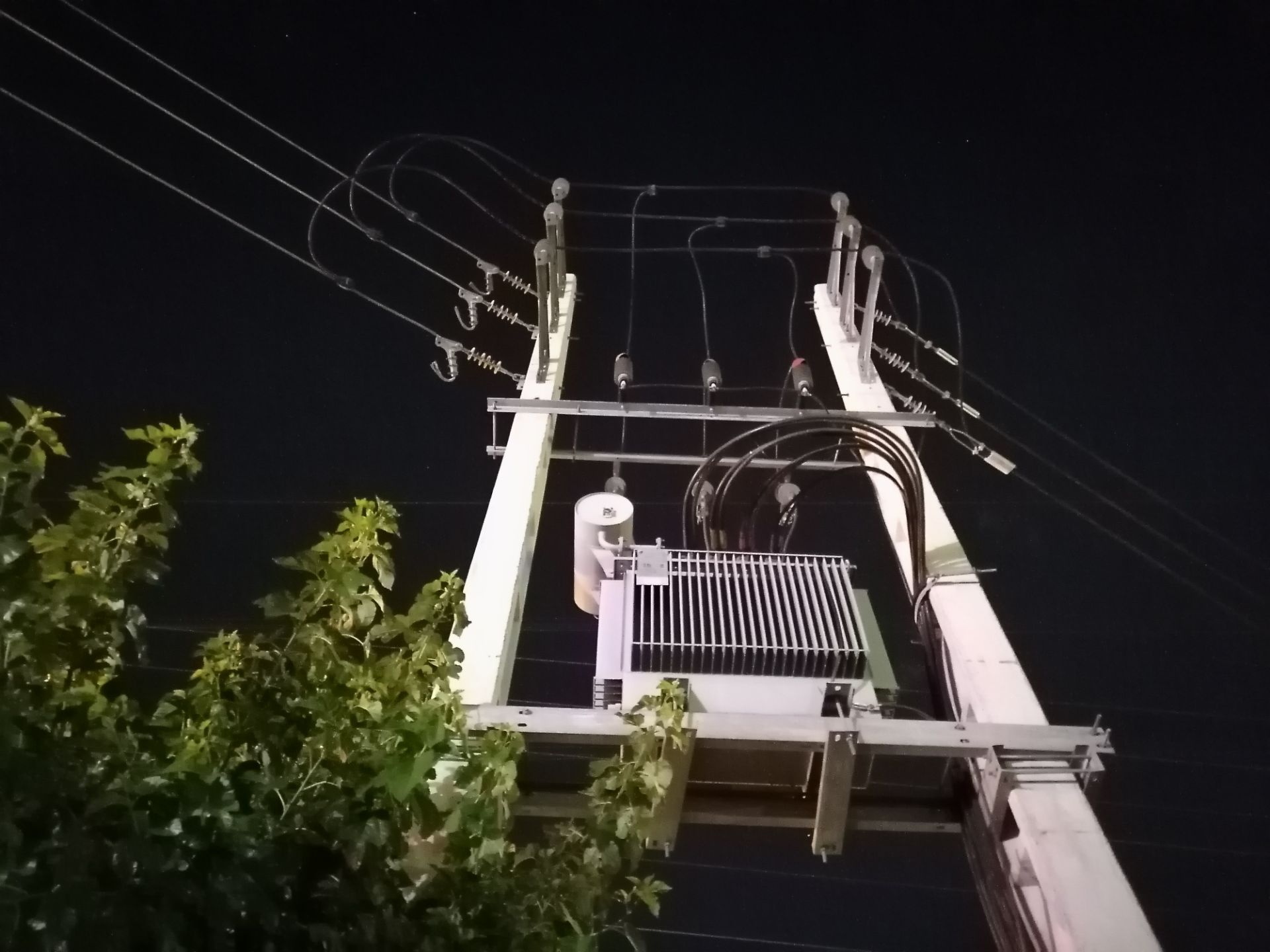 عکس از تیر برق و شاخ و برگ درخت با حالت Photo گوشی Y7p