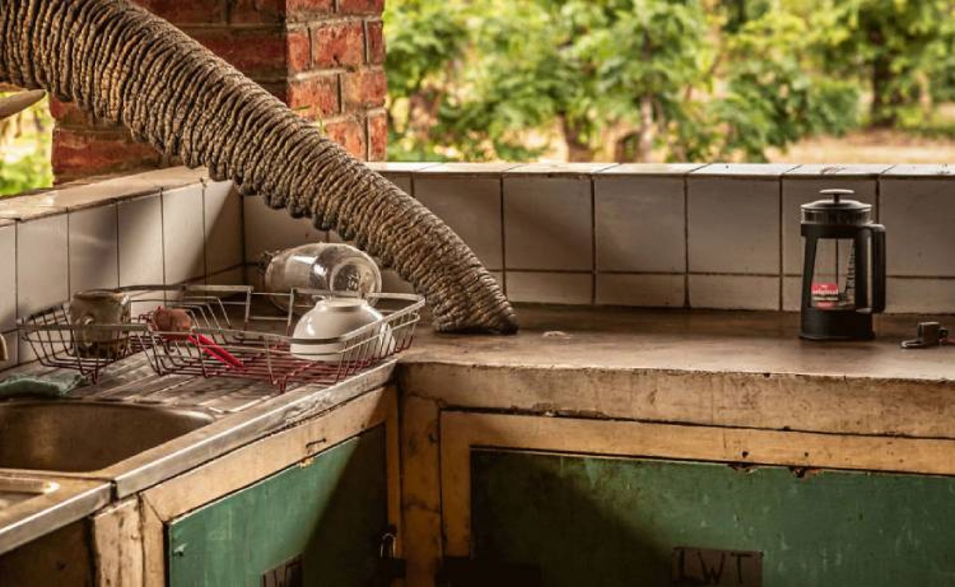 عکس فینالیست بخش «انسان/طبیعت»:‌ «فیل آشپزخانه‌ای»؛ عکاس: گانتر دبروینه