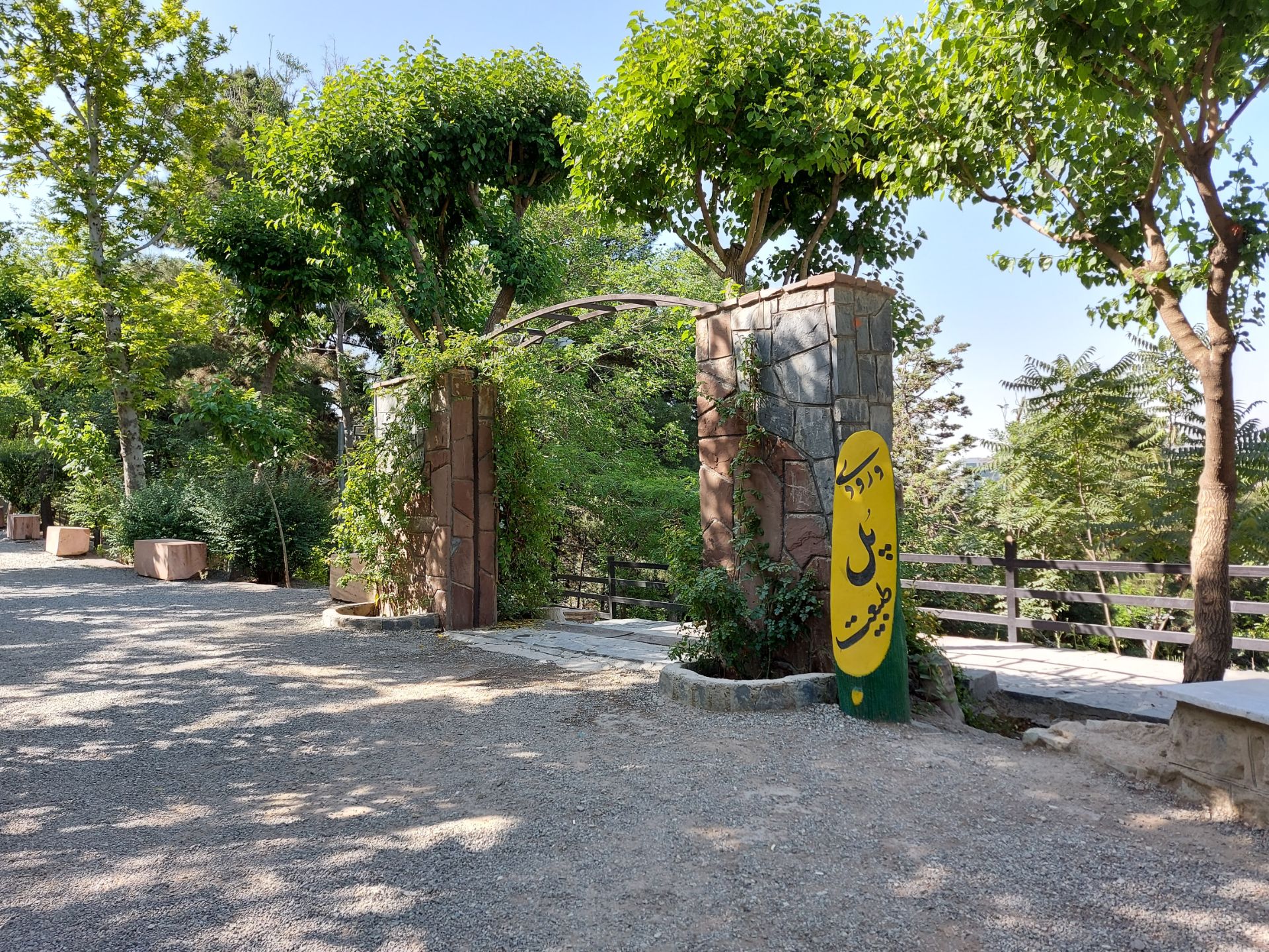 نمونه عکس گلکسی A71 از پل طبیعت