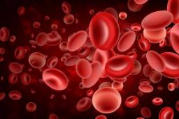 ساخت سلول‌های قرمز خون مصنوعی با قابلیت‌های بیشتر از سلول‌های طبیعی