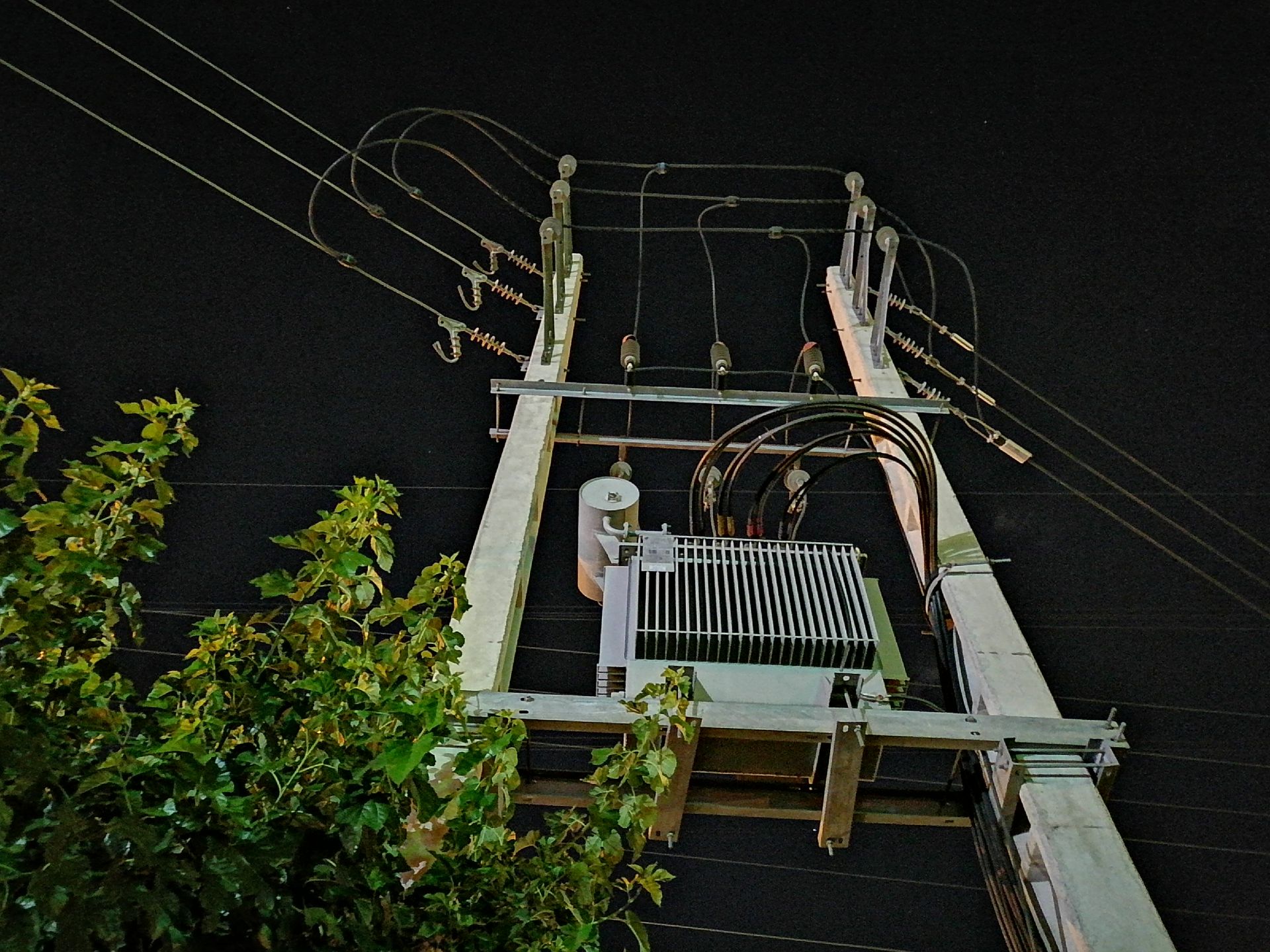 عکس از تیر برق و شاخ و برگ درخت با حالت Night گوشی Y7p