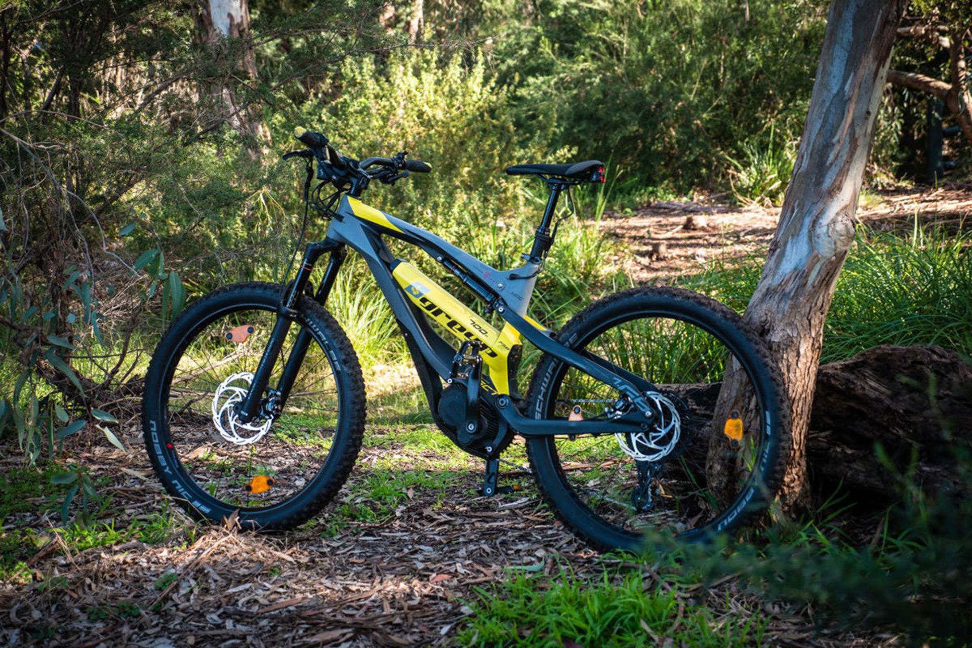 Greyp 6.1 ebike / دوچرخه برقی گریپ