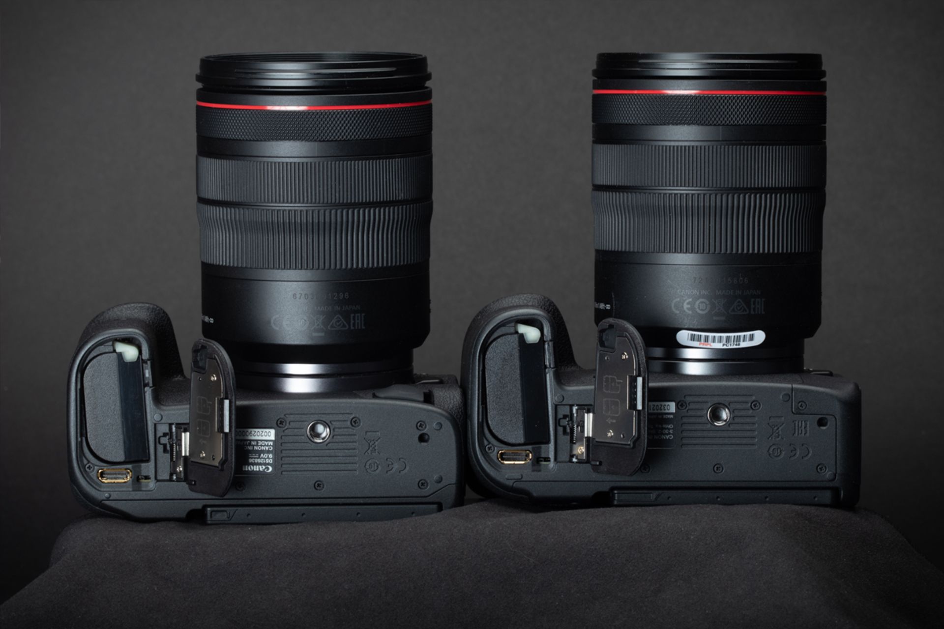 کانن EOS R5 درکنار EOS R6 از بخش پایین