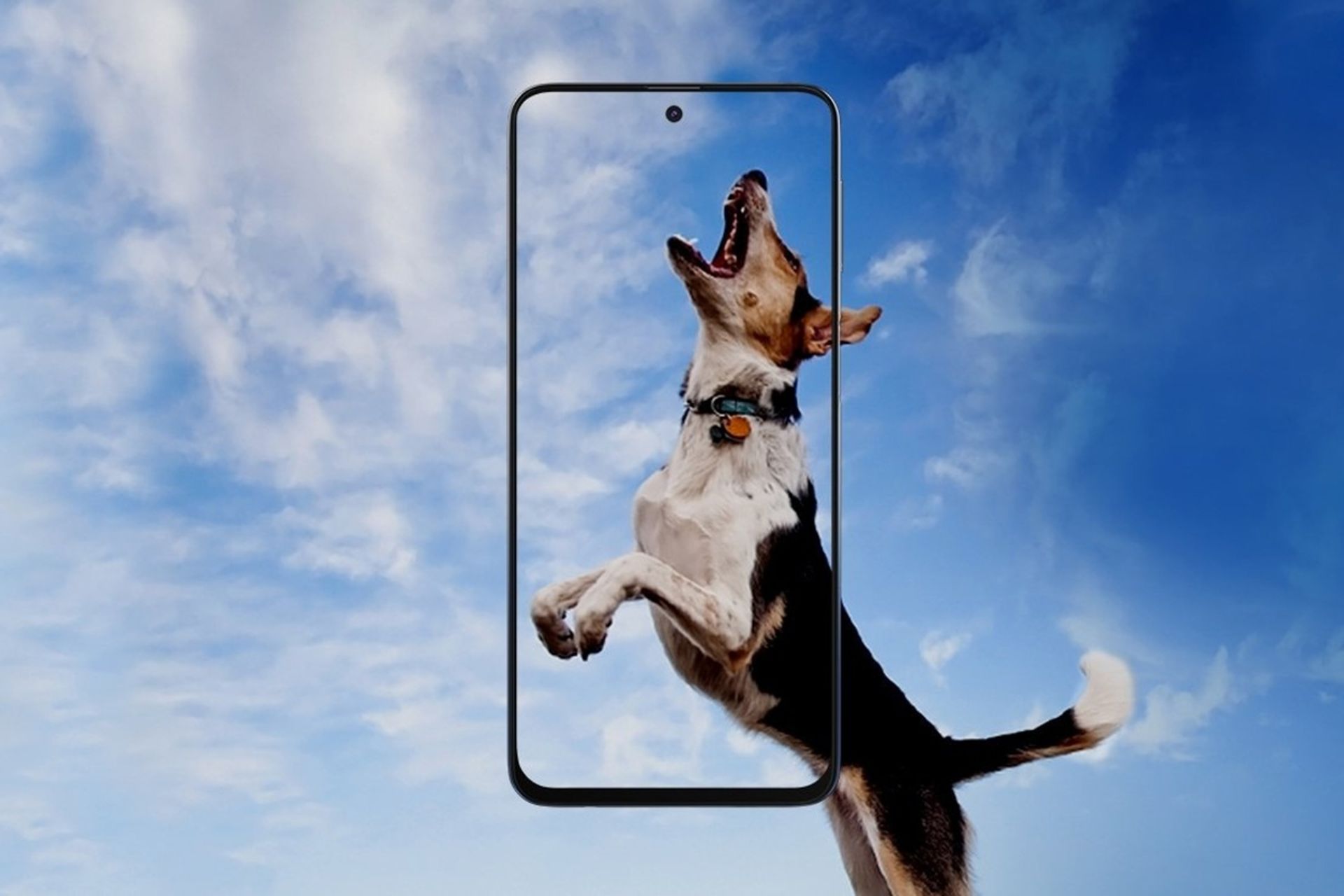 نمایشگر گلکسی ام 31 اس سامسونگ / Galaxy M31s سگ در حال پرش آسمان آبی