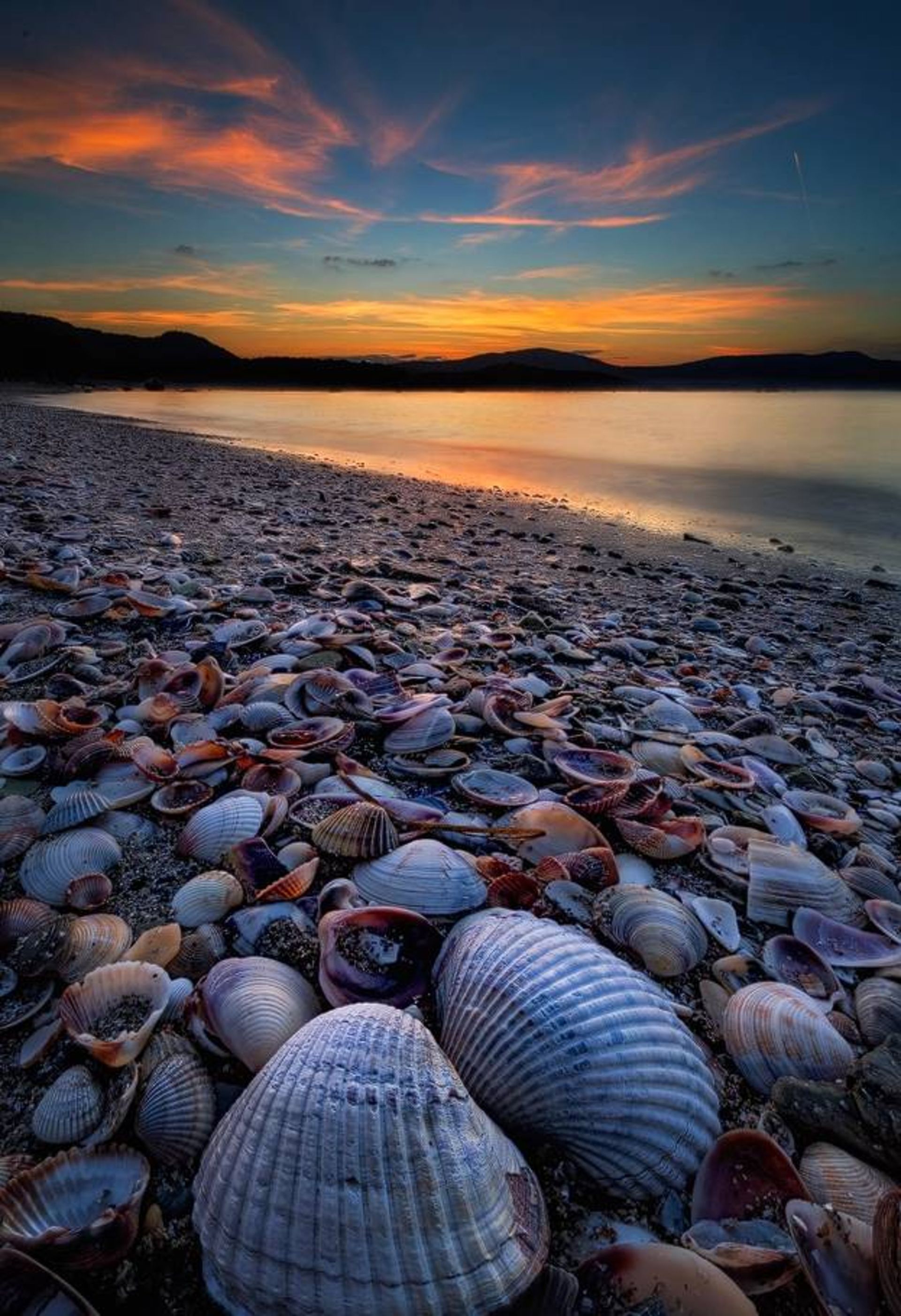 نمونه تصویر ثبت شده توسط اسوینارو با لنز ونوس اپتیکس 