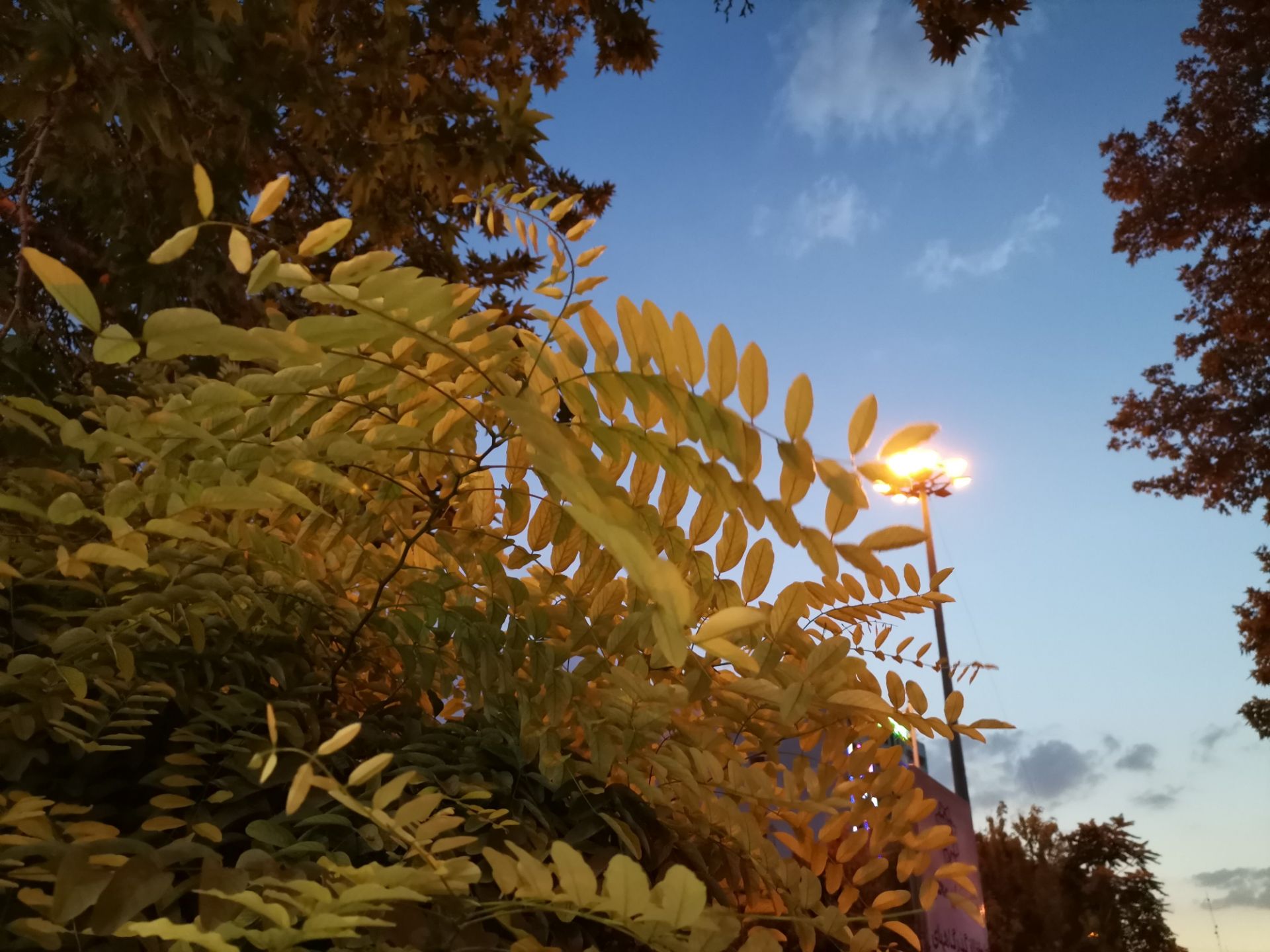 نمونه عکس از منظره در تاریکی هواوی نوا 7 آی با حالت Photo