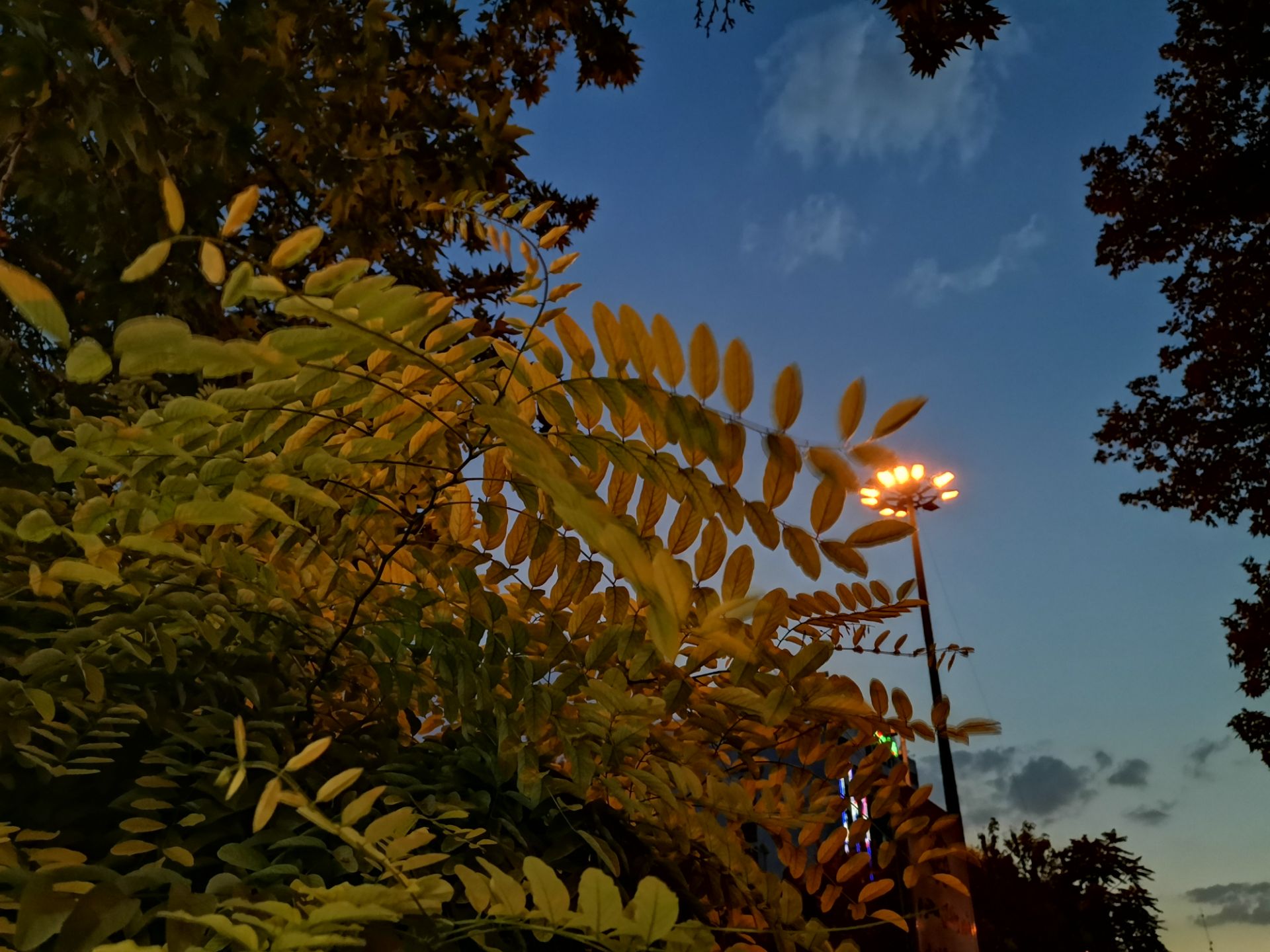 نمونه عکس از منظره در تاریکی هواوی نوا 7 آی با حالت Night