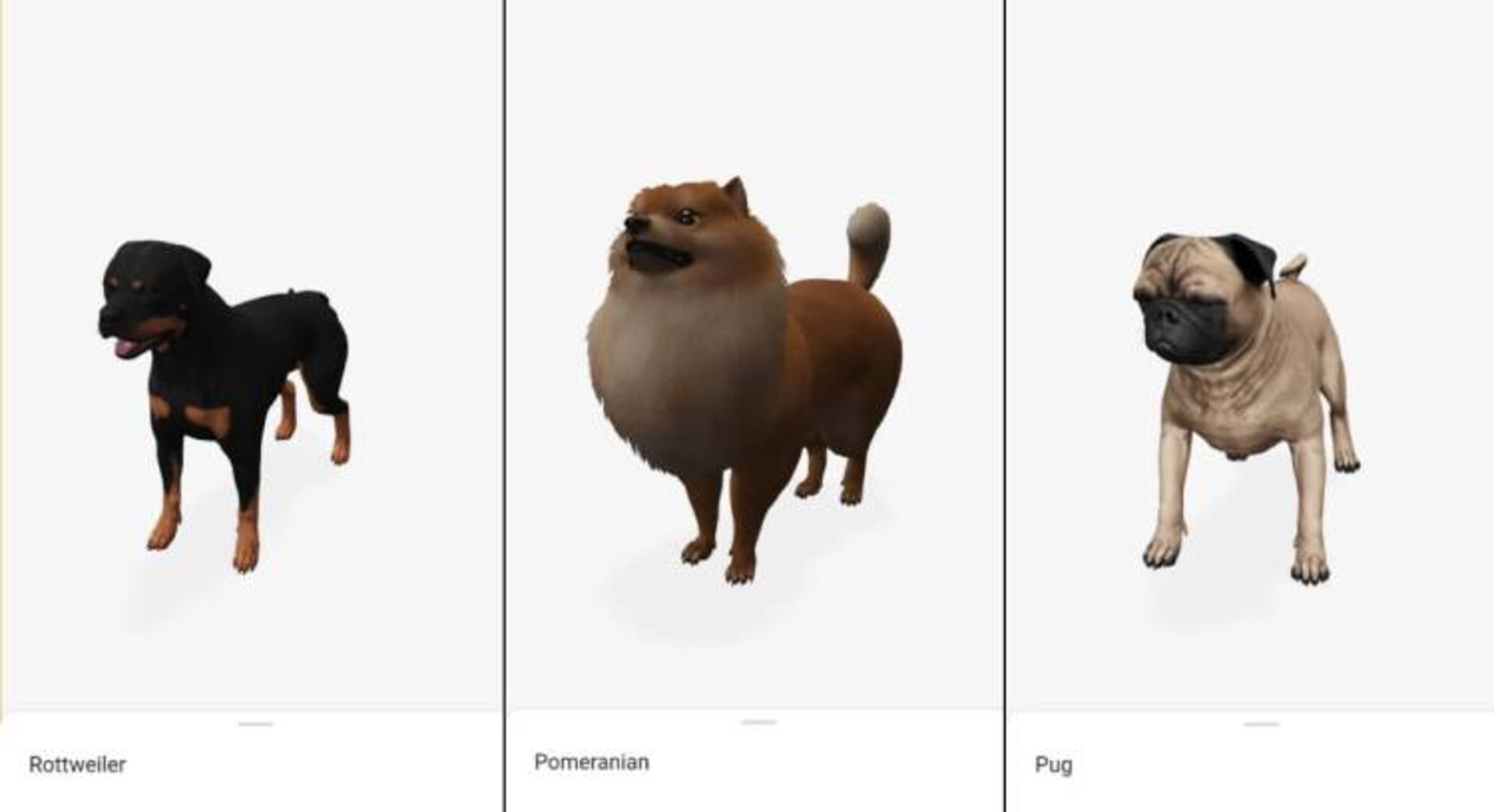 نمونه تصاویر سه‌بعدی از حیوانات خانگی