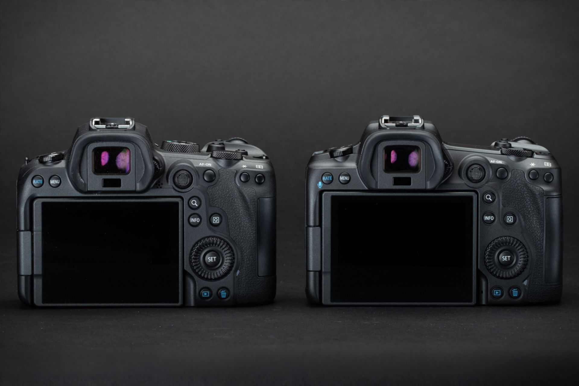 کانن EOS R5 درکنار EOS R6 منظره یاب EVF و نمایشگر LCD