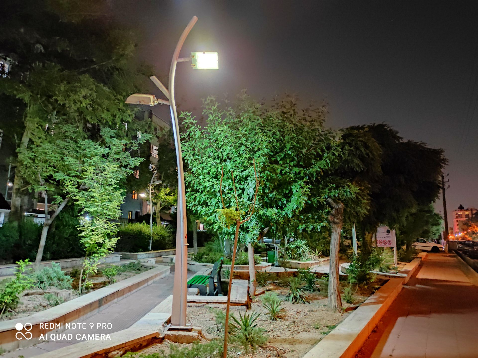 نمونه عکس ردمی نوت 9 پرو - درختان یک پارک در تاریکی