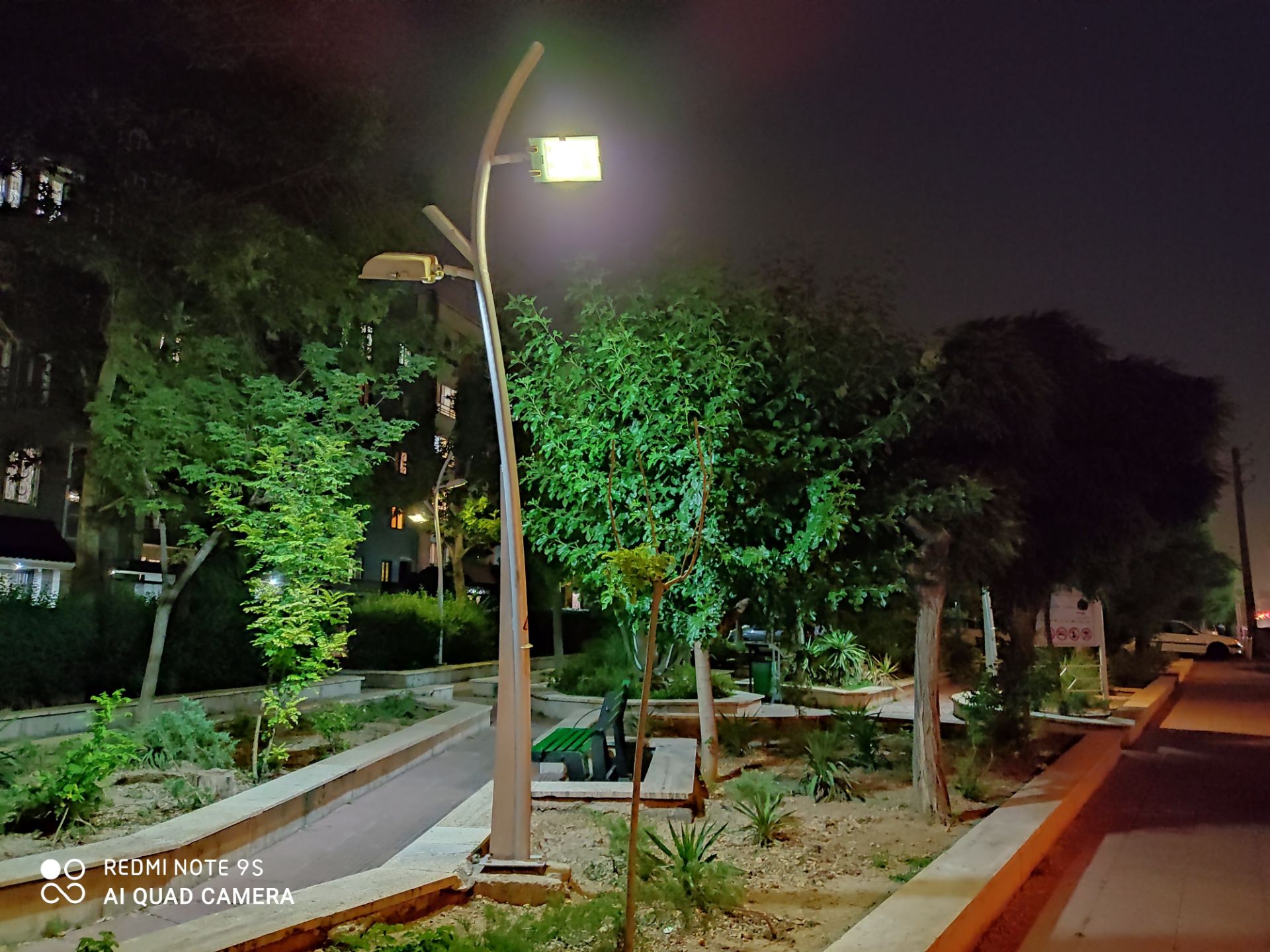 نمونه عکس ردمی نوت 9 اس - درختان یک پارک در تاریکی