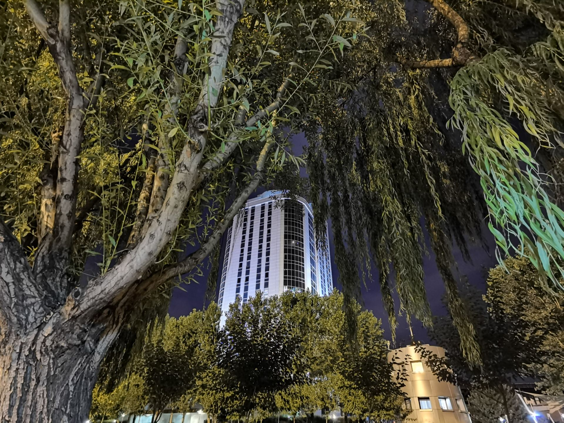 نمونه عکس اولتراواید هواوی P40 Pro در تاریکی با حالت Night - ساختمان و درخت